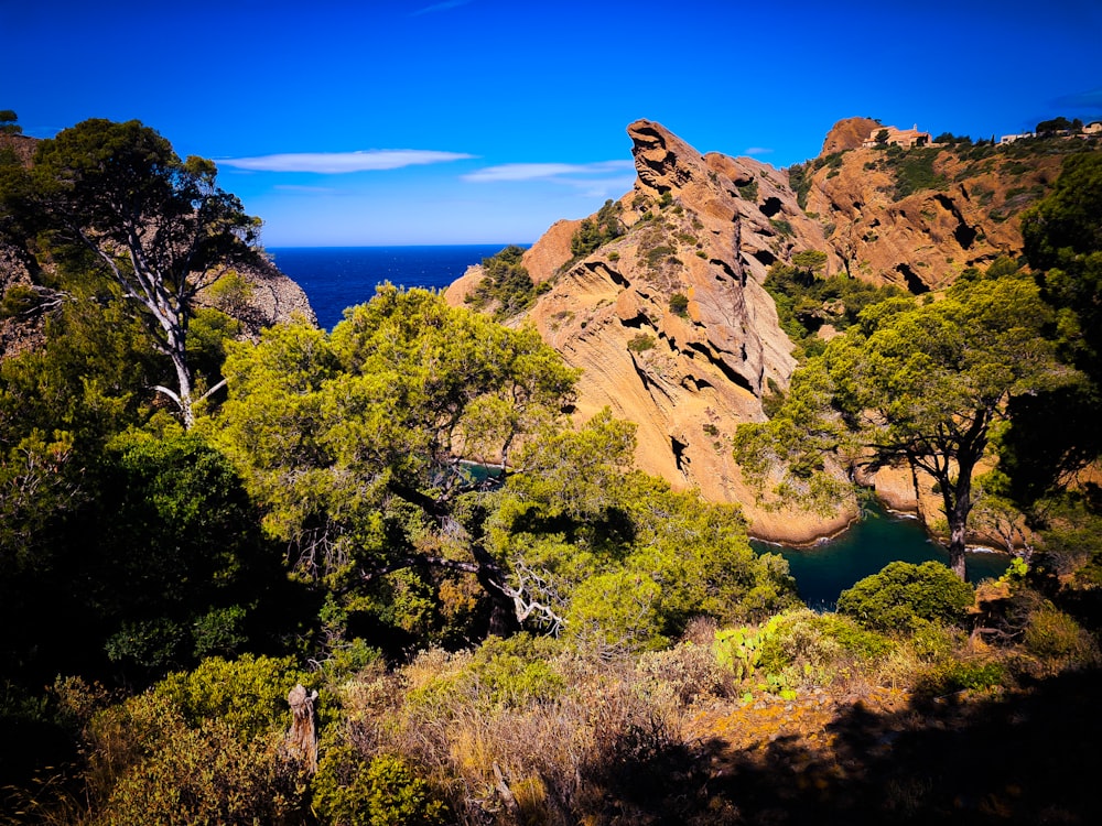 brown rock formation near green trees during daytime