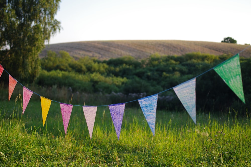 green grass field with white and blue striped flag