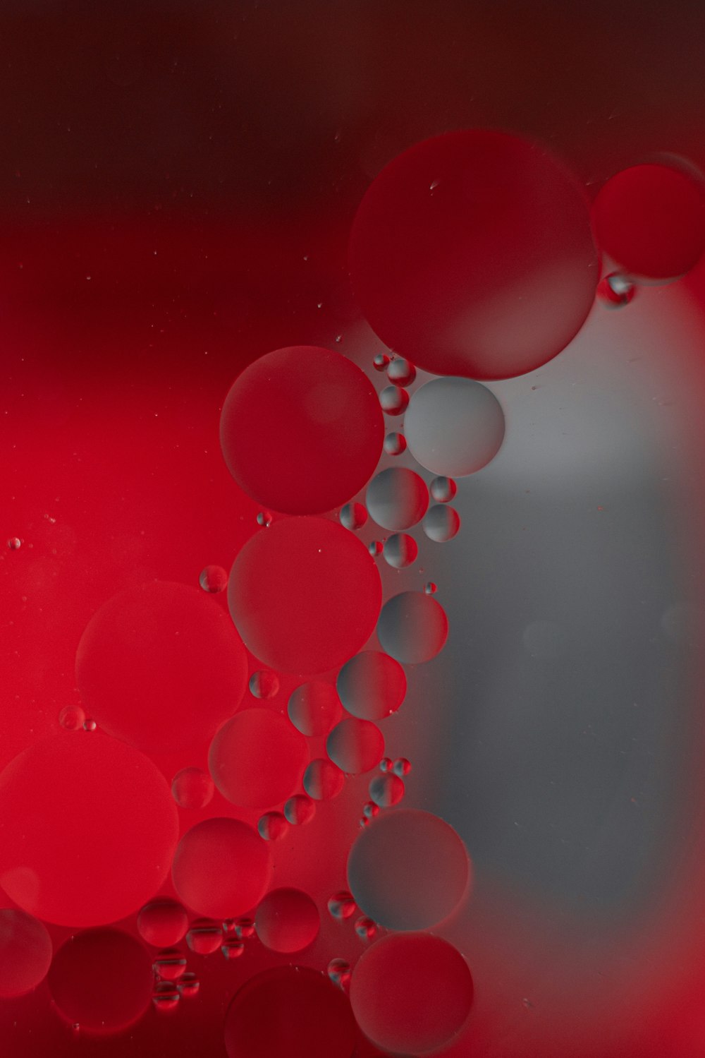 red balloons on red surface
