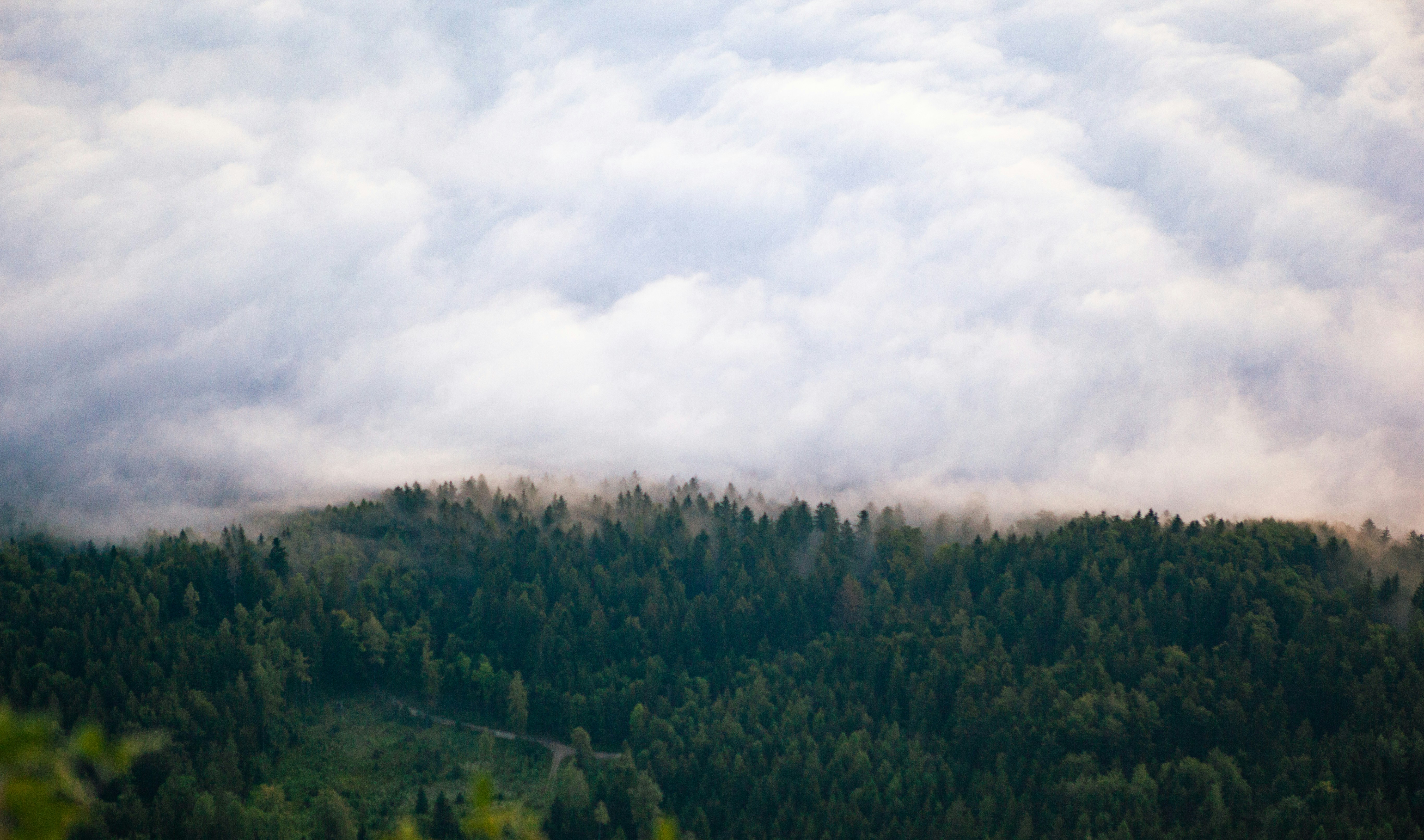 Photo by alex_gruber