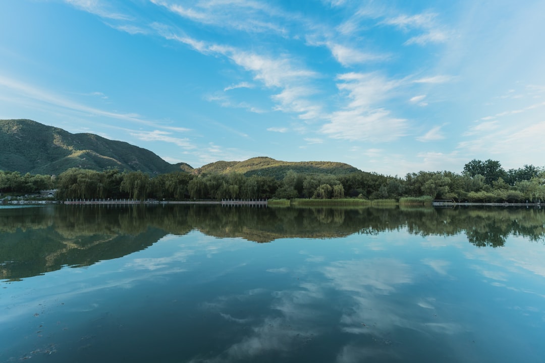 green trees near lake under blue sky during daytime