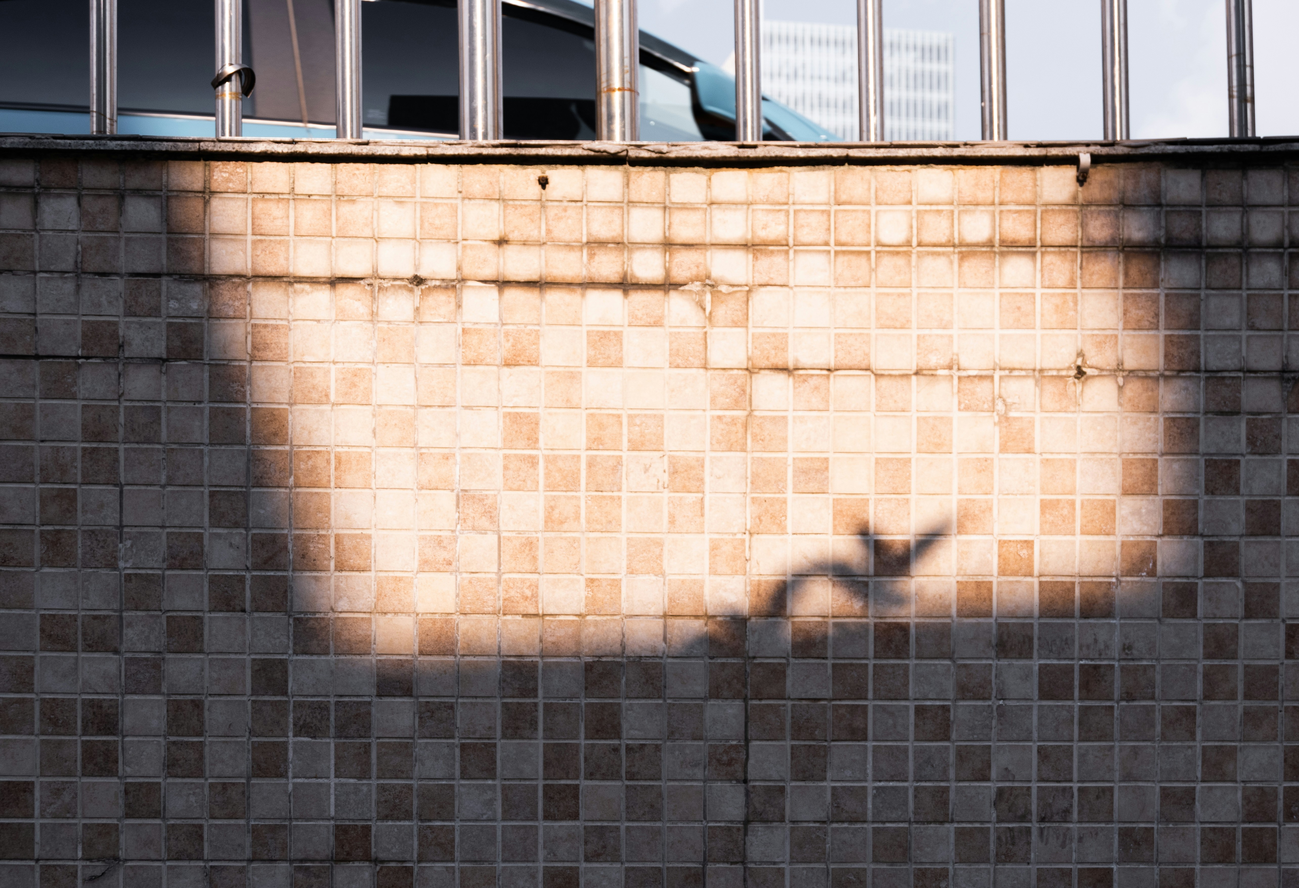 Photo by sunriseking