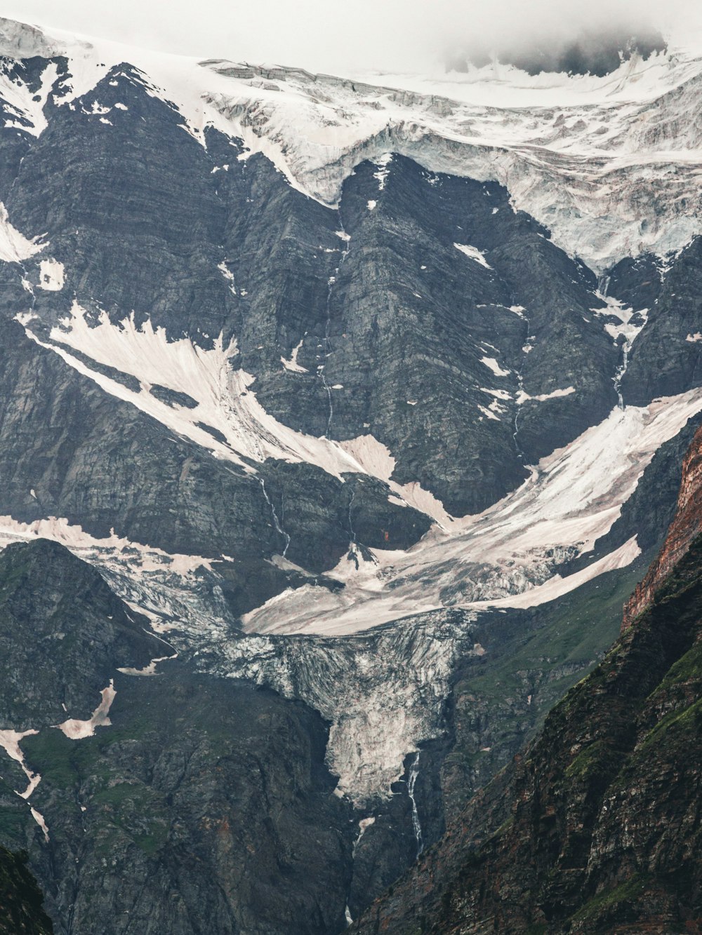 grauer und weißer Rocky Mountain