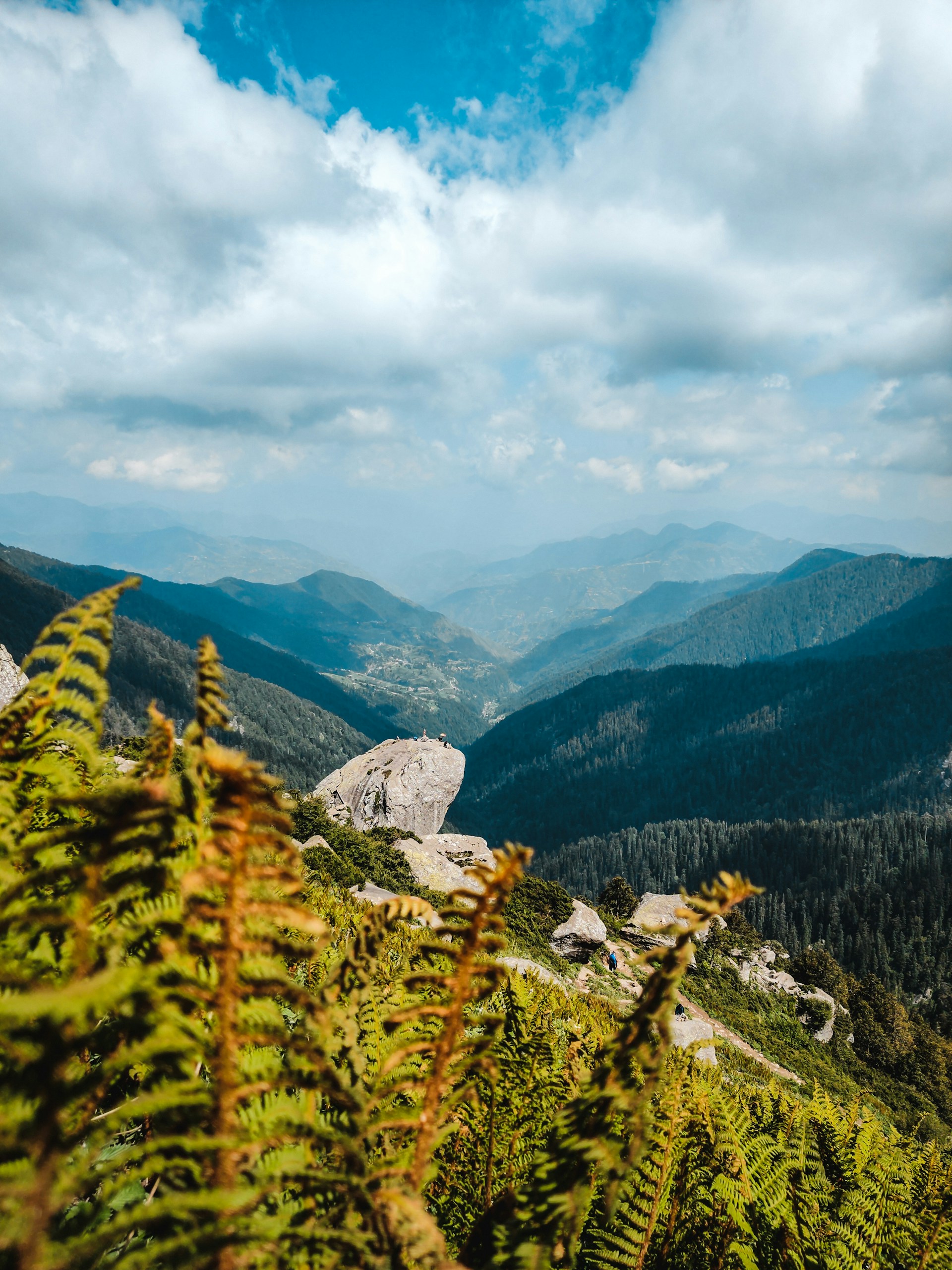 green pine trees on mountain under white clouds during daytime
