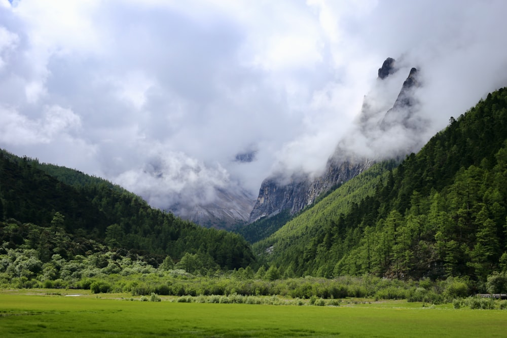 green grass field and mountain under white clouds