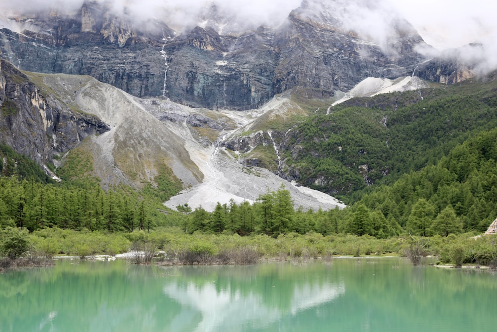 green trees near lake and mountain