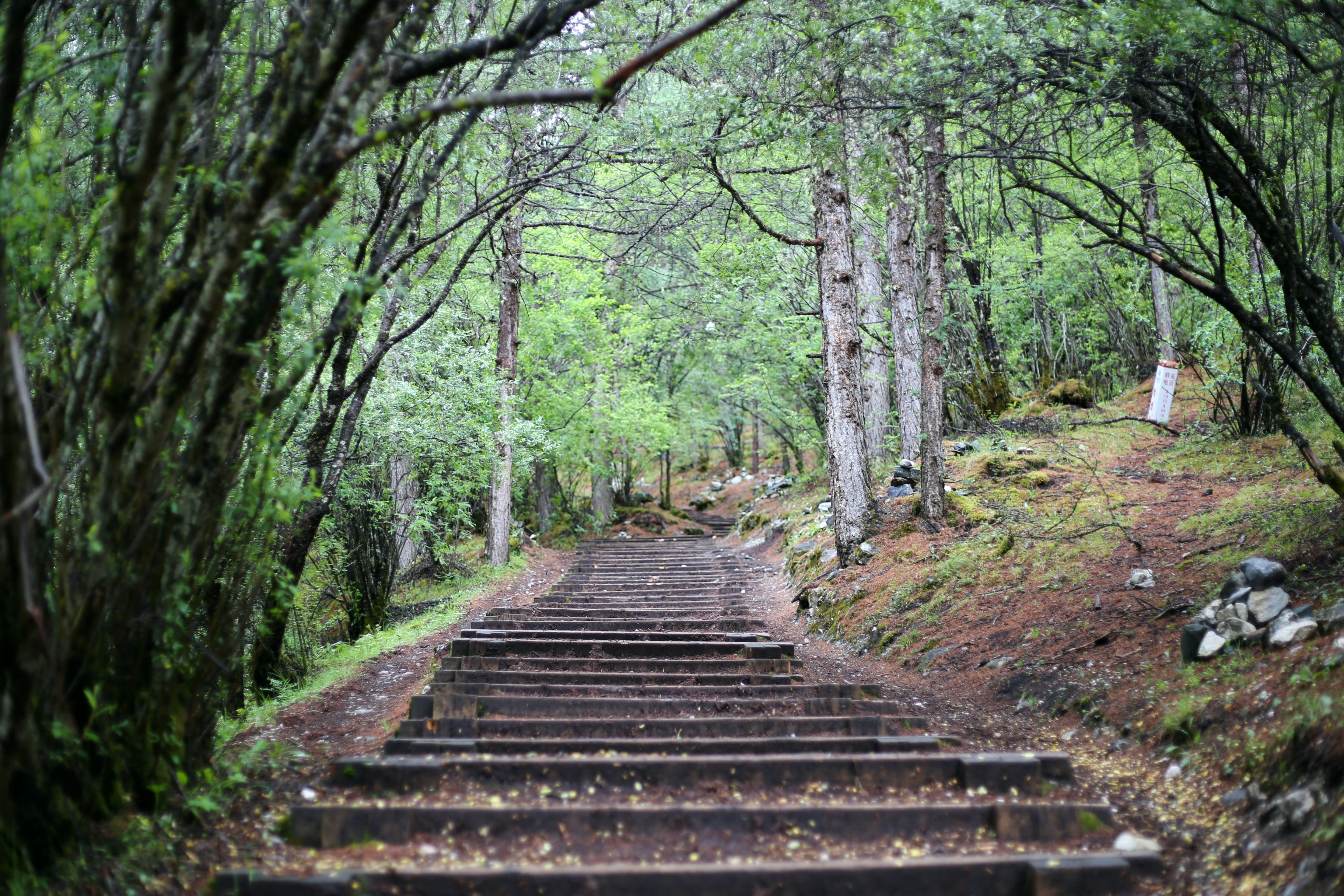 Conquer the Trails Your New Hiking Workout