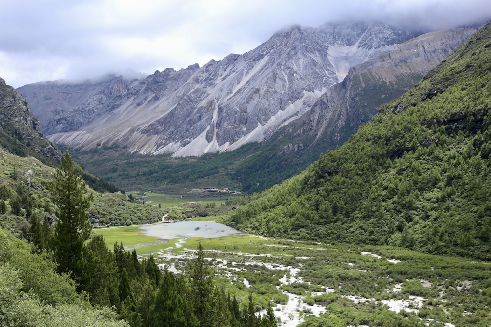 green trees near mountain under white clouds during daytime