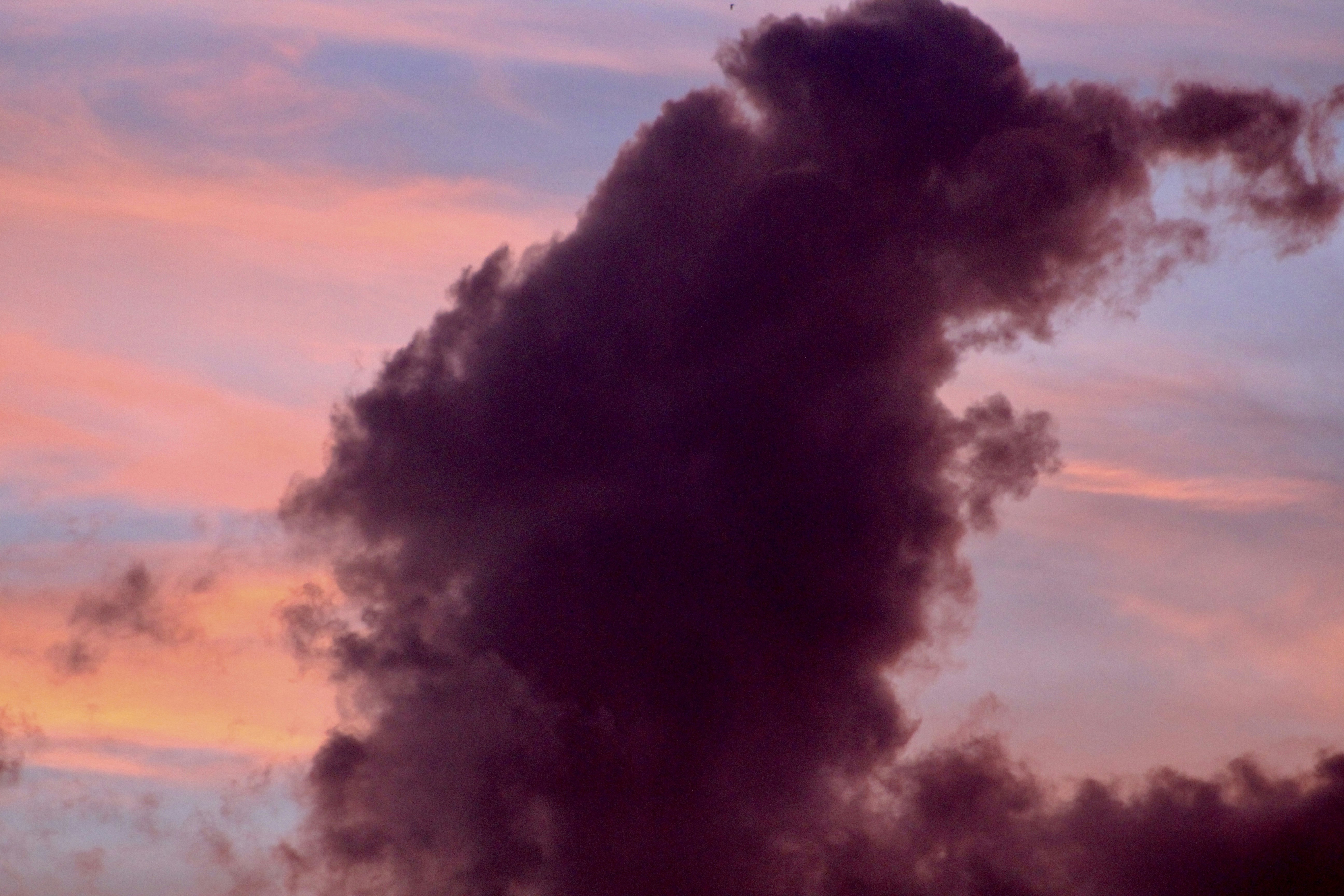 Photo by covershotsphotos