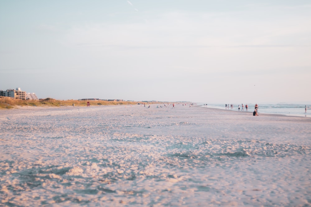 people on beach during daytime