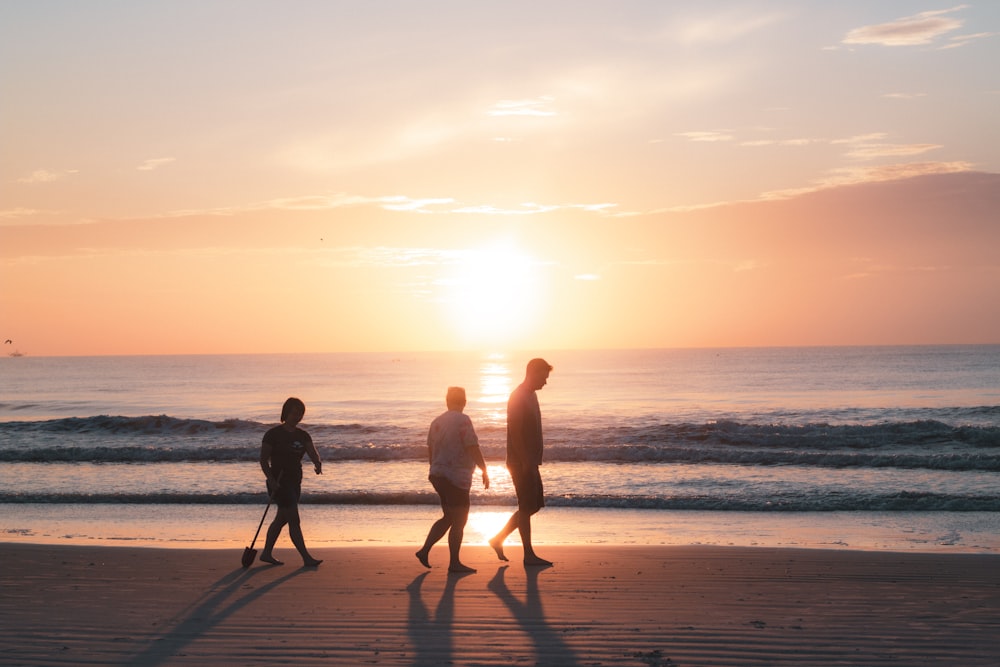 silhouette of 2 men standing on beach during sunset