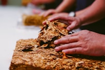 person holding brown dried leaf