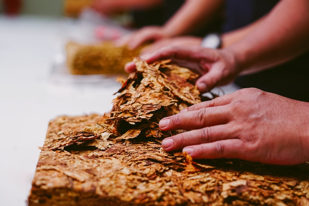 person holding brown dried leaf