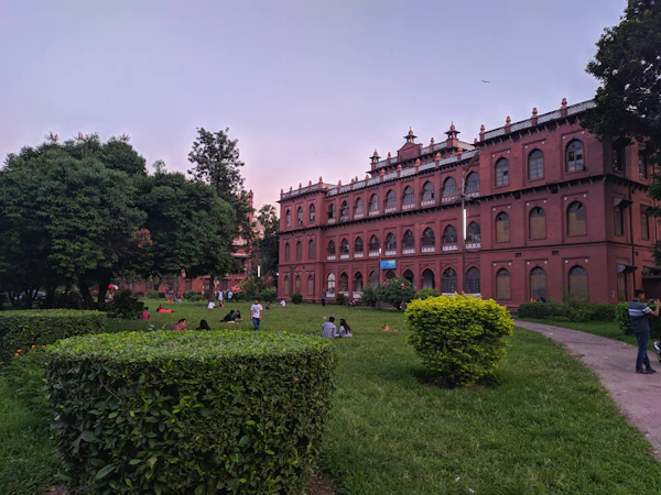 Bell Curve Generator para sa mga Unibersidad sa Egypt: Isang Praktikal na Gabay