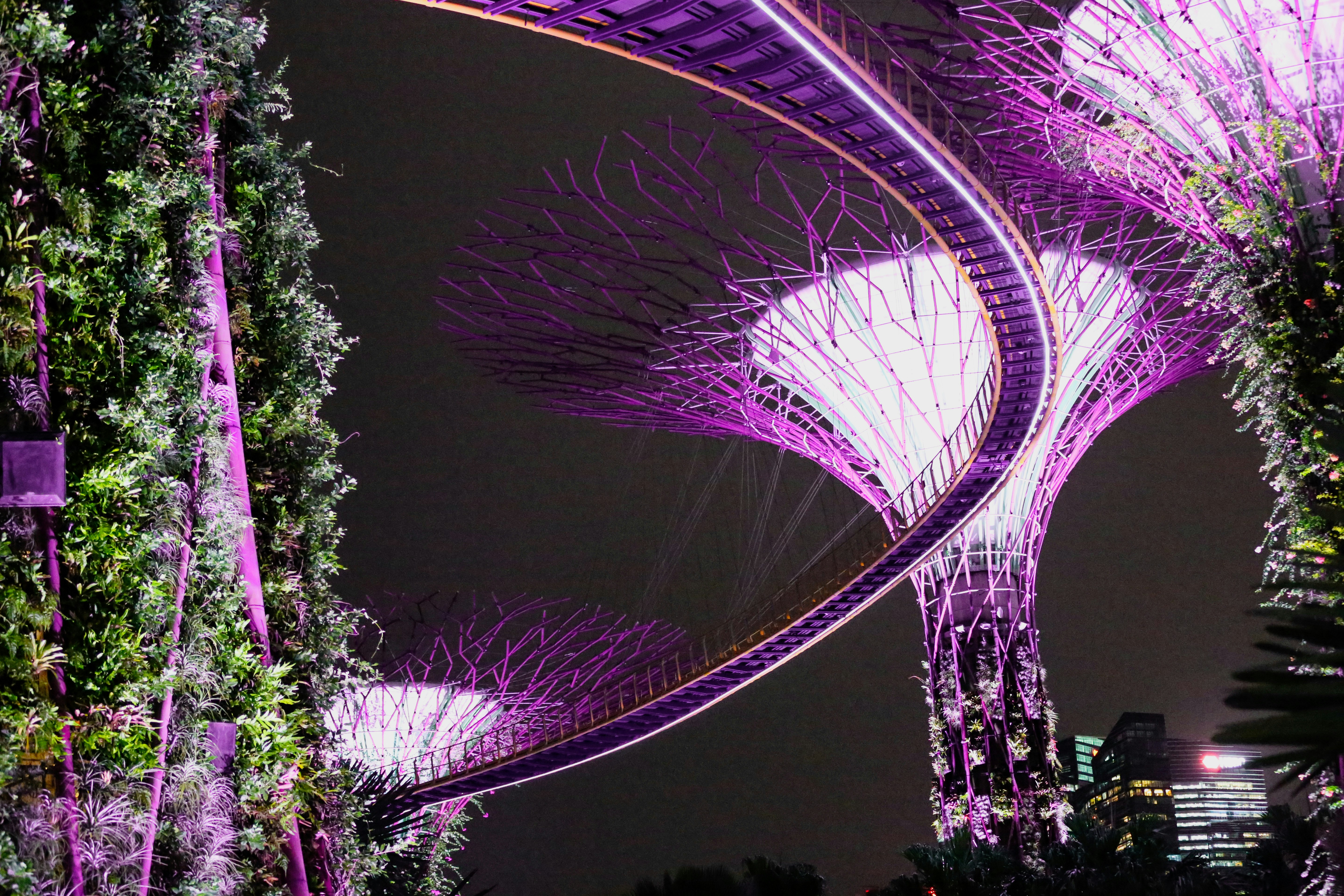 Photo by kapoorparas28