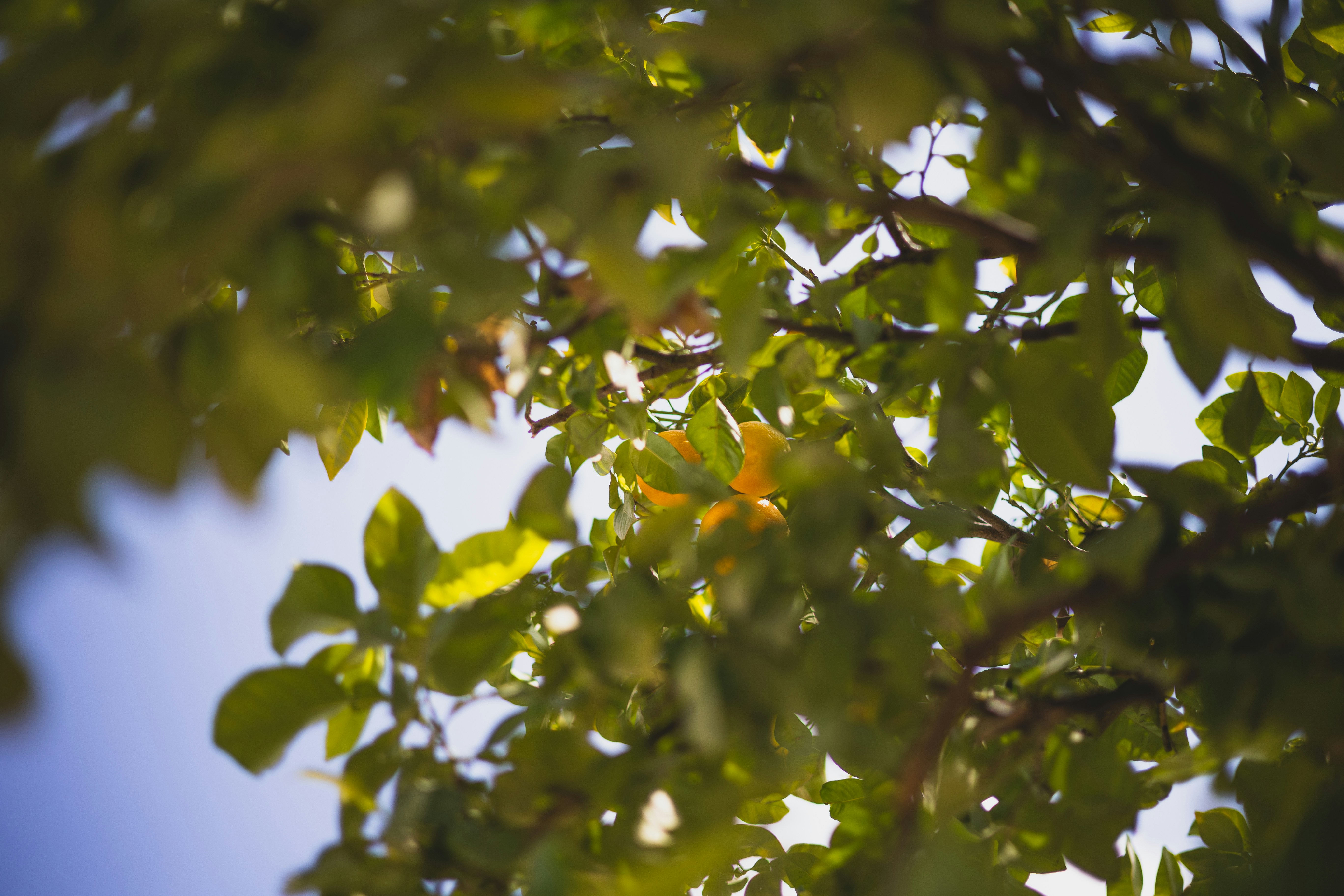 Photo by valentinagiarre