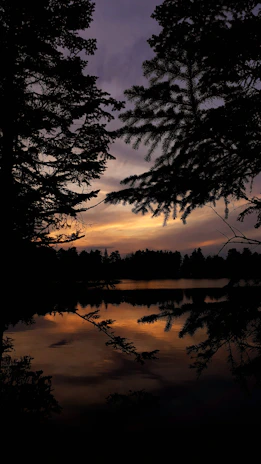 Elegant timber estate nestled by a calm lake at sunset, framed by pine trees and glowing warm light.