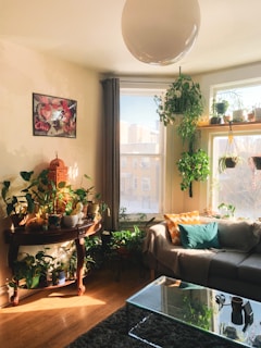 green potted plant on brown wooden table