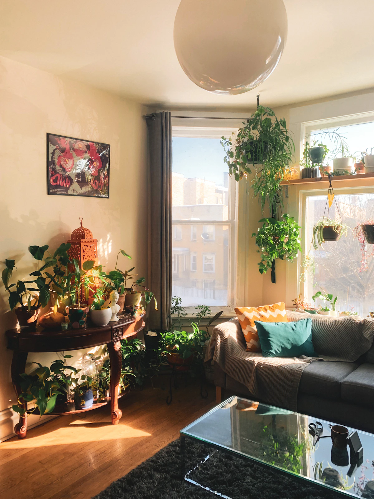 One healthy plant adding life to a small rented lounge
