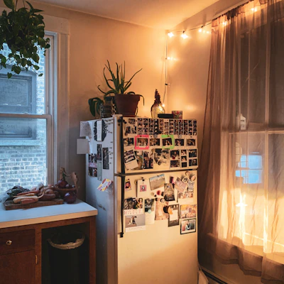 A cozy kitchen corner featuring the shishira fridge with fresh produce inside