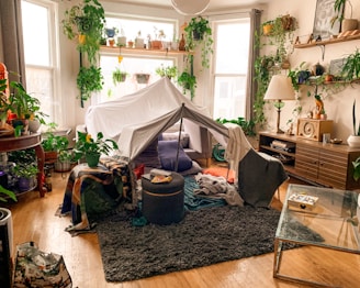 A cozy living room adorned with soft fabrics and plants.