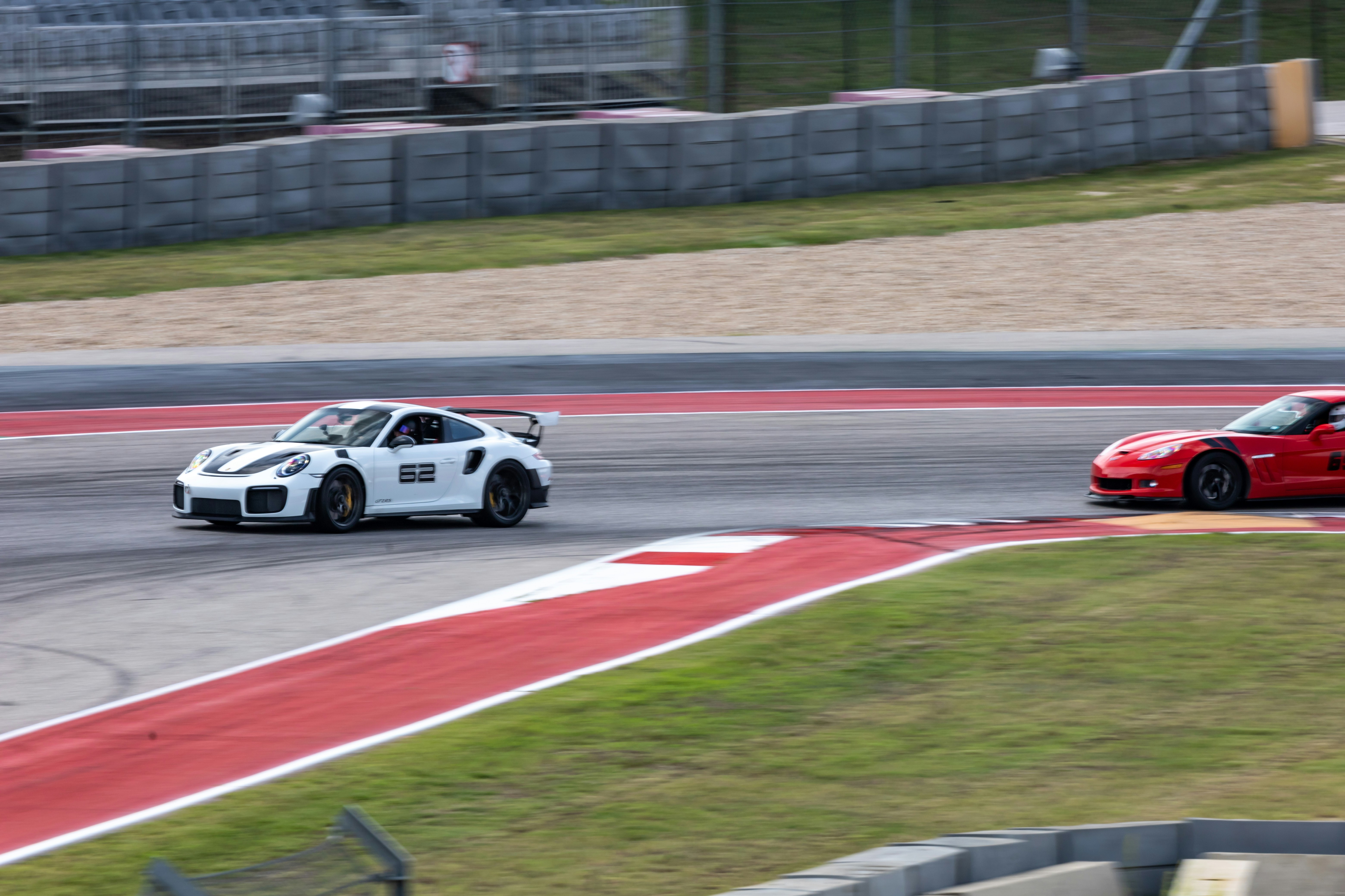 Photo by lonestarexotic