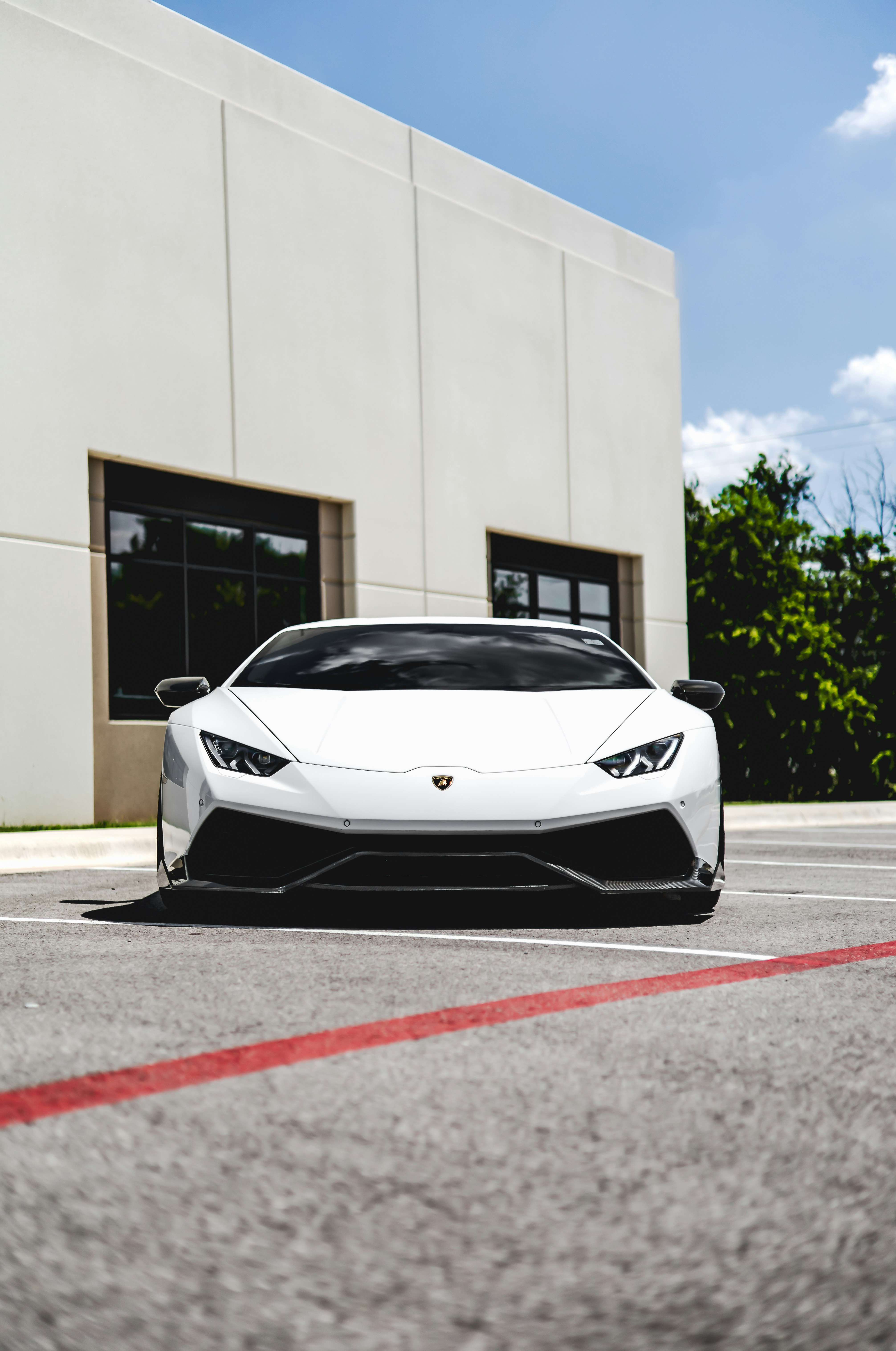 Photo by lonestarexotic