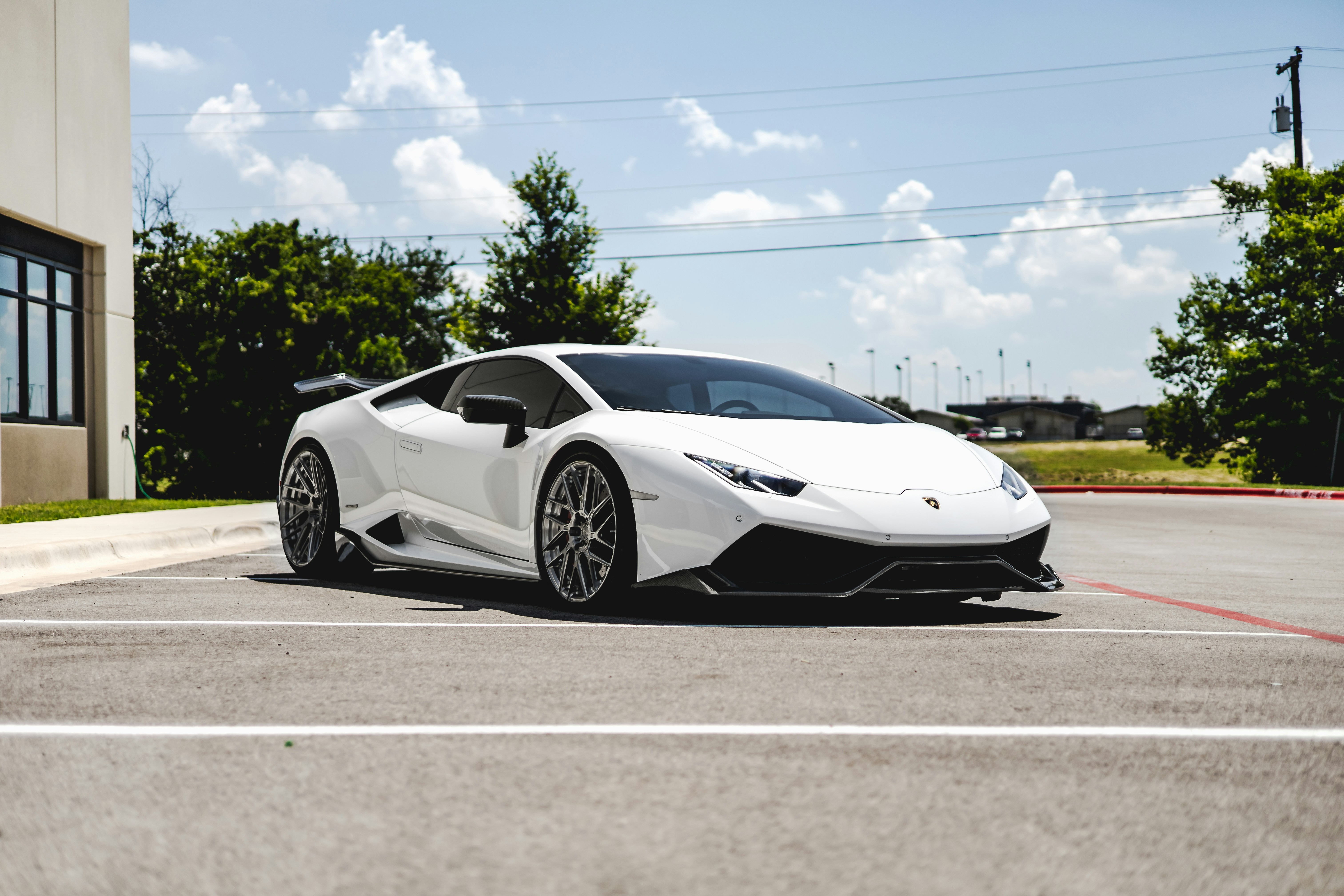 Photo by lonestarexotic