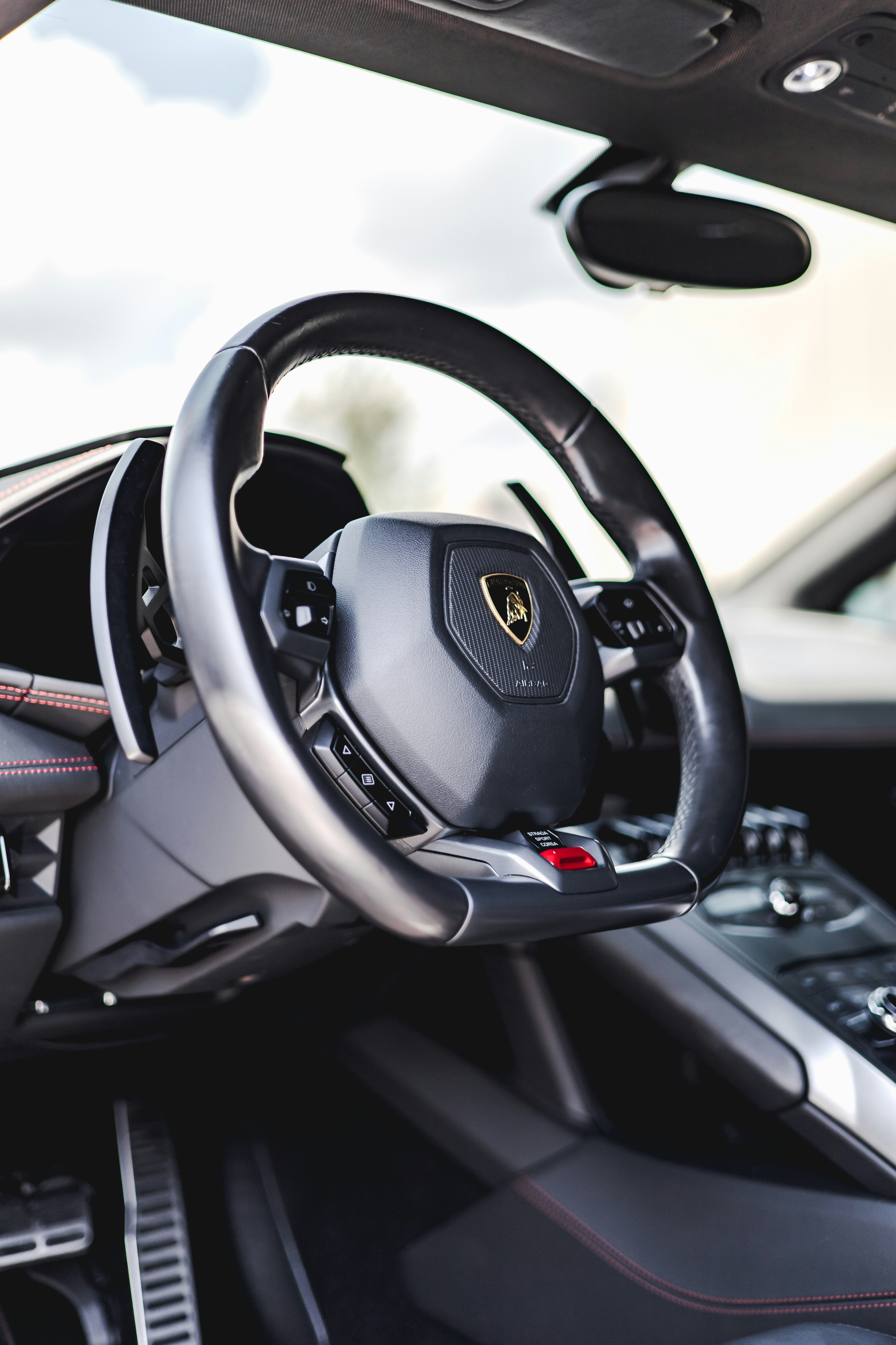 Photo by lonestarexotic