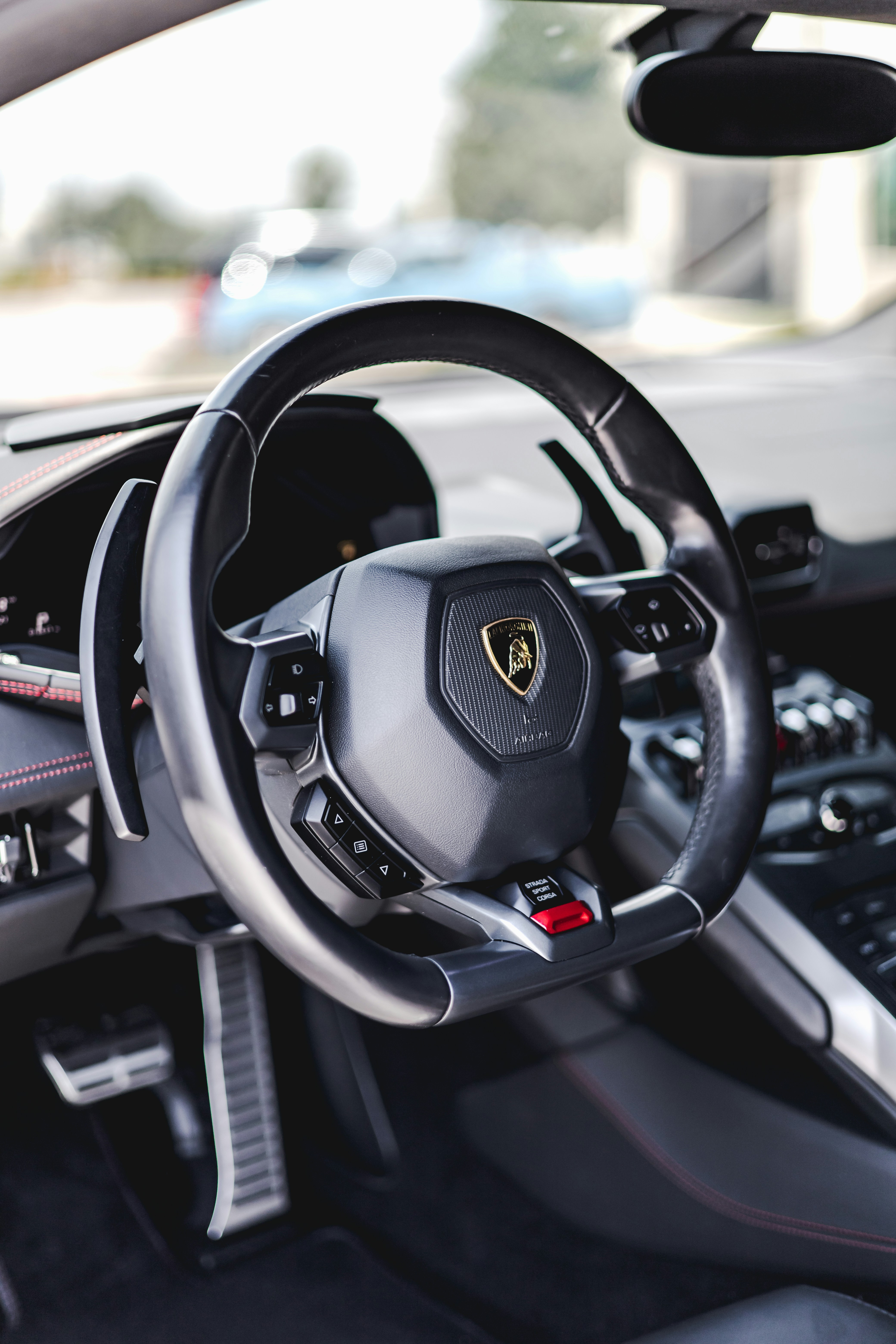 Photo by lonestarexotic