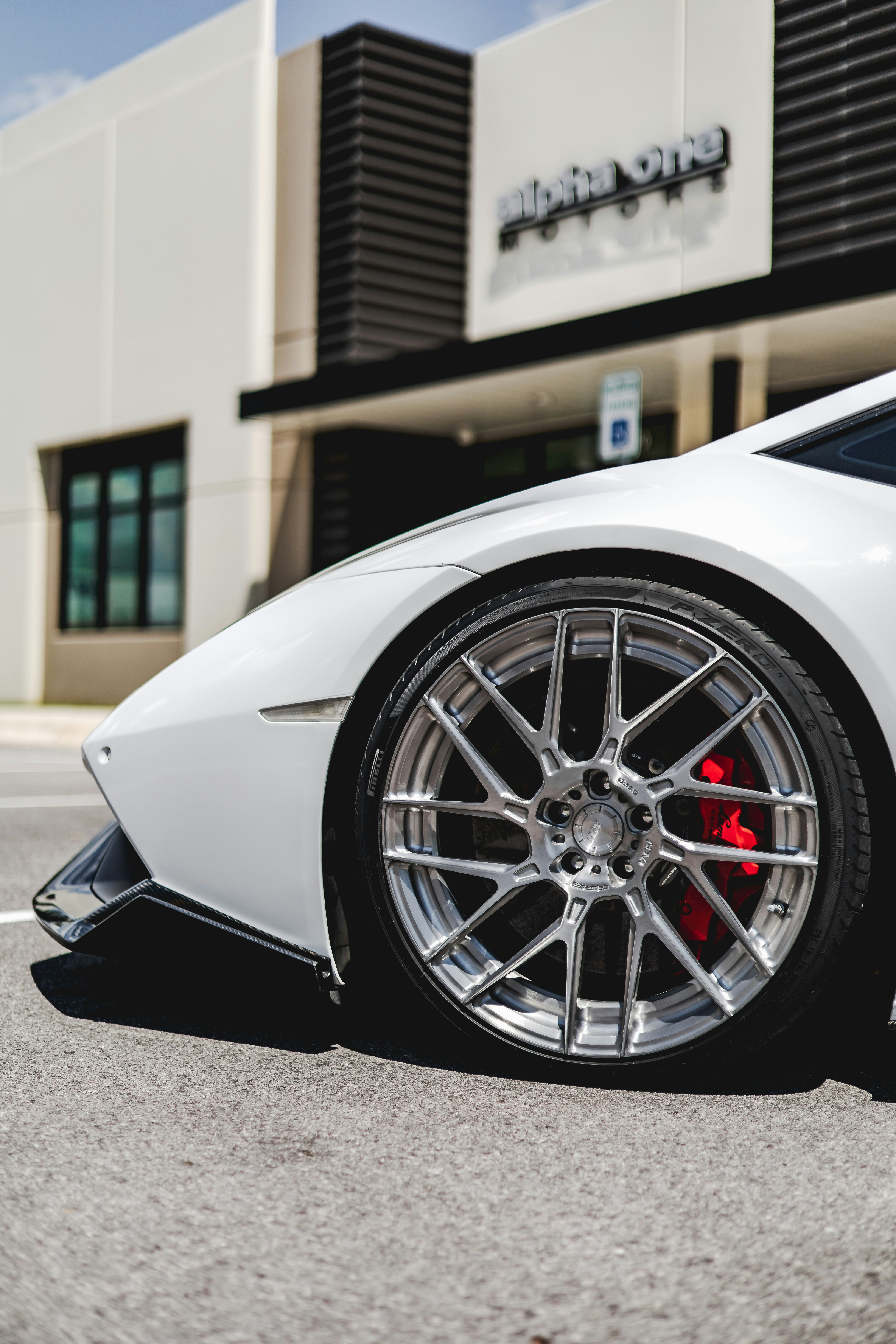 Photo by lonestarexotic