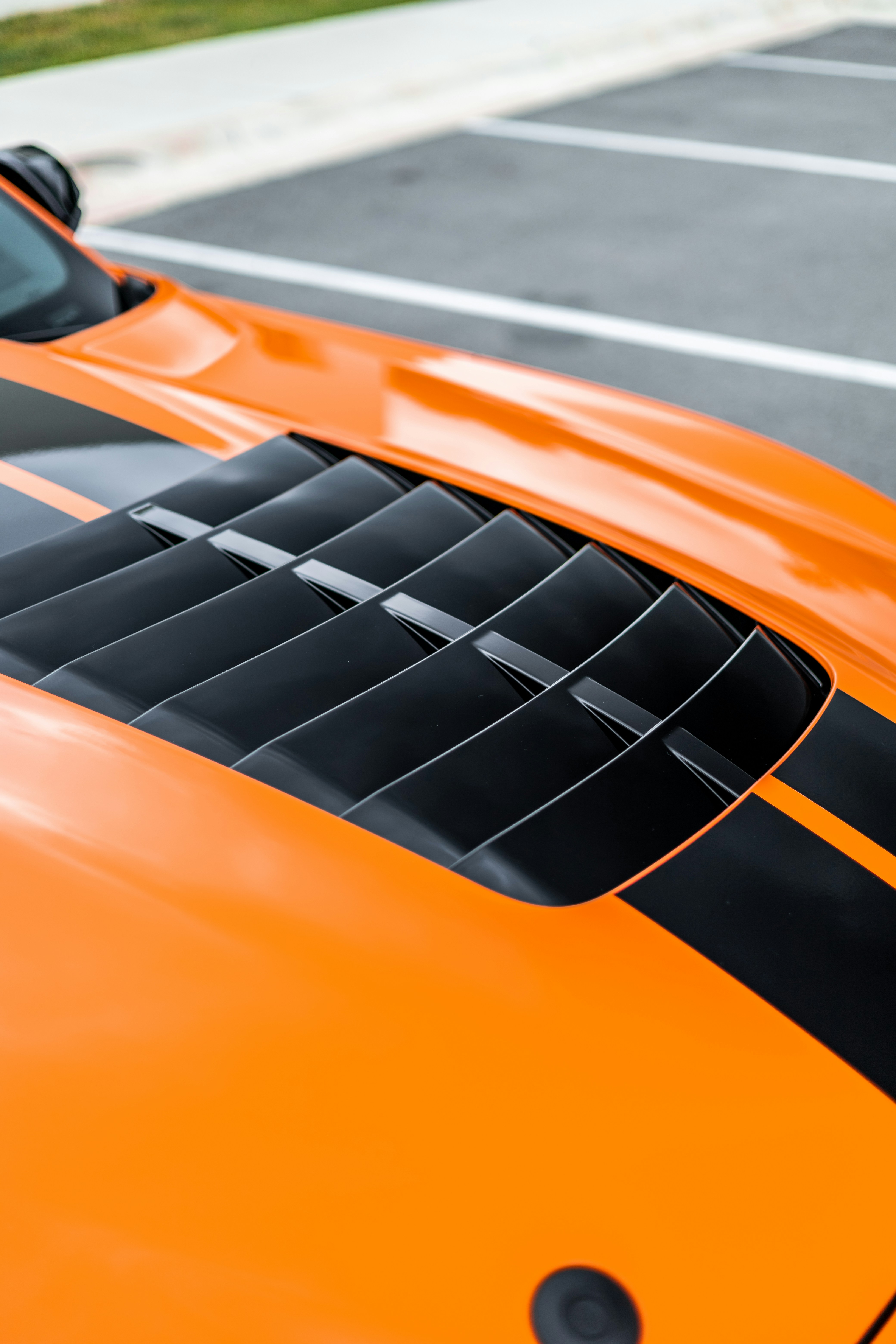 Photo by lonestarexotic