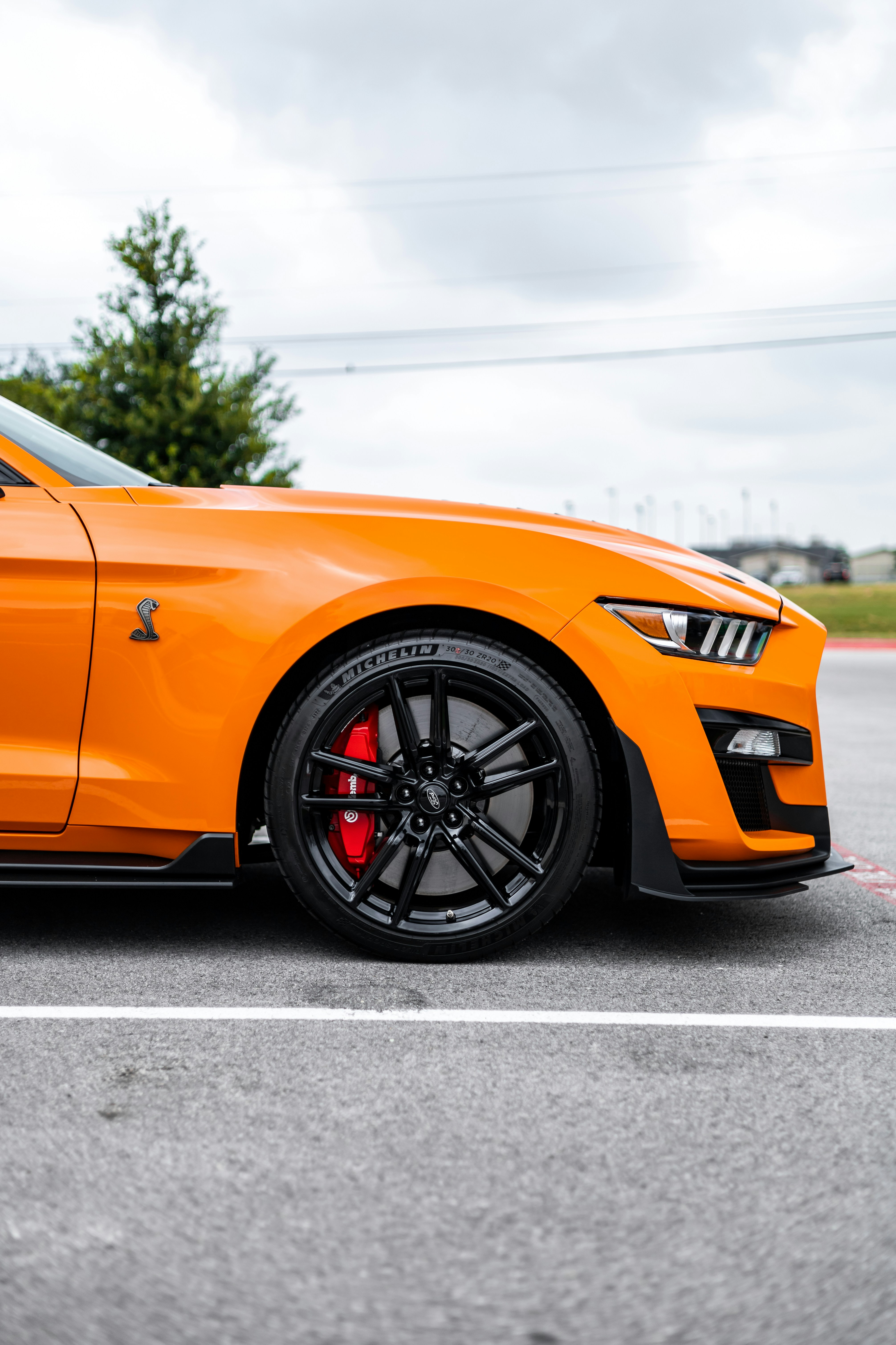 Photo by lonestarexotic