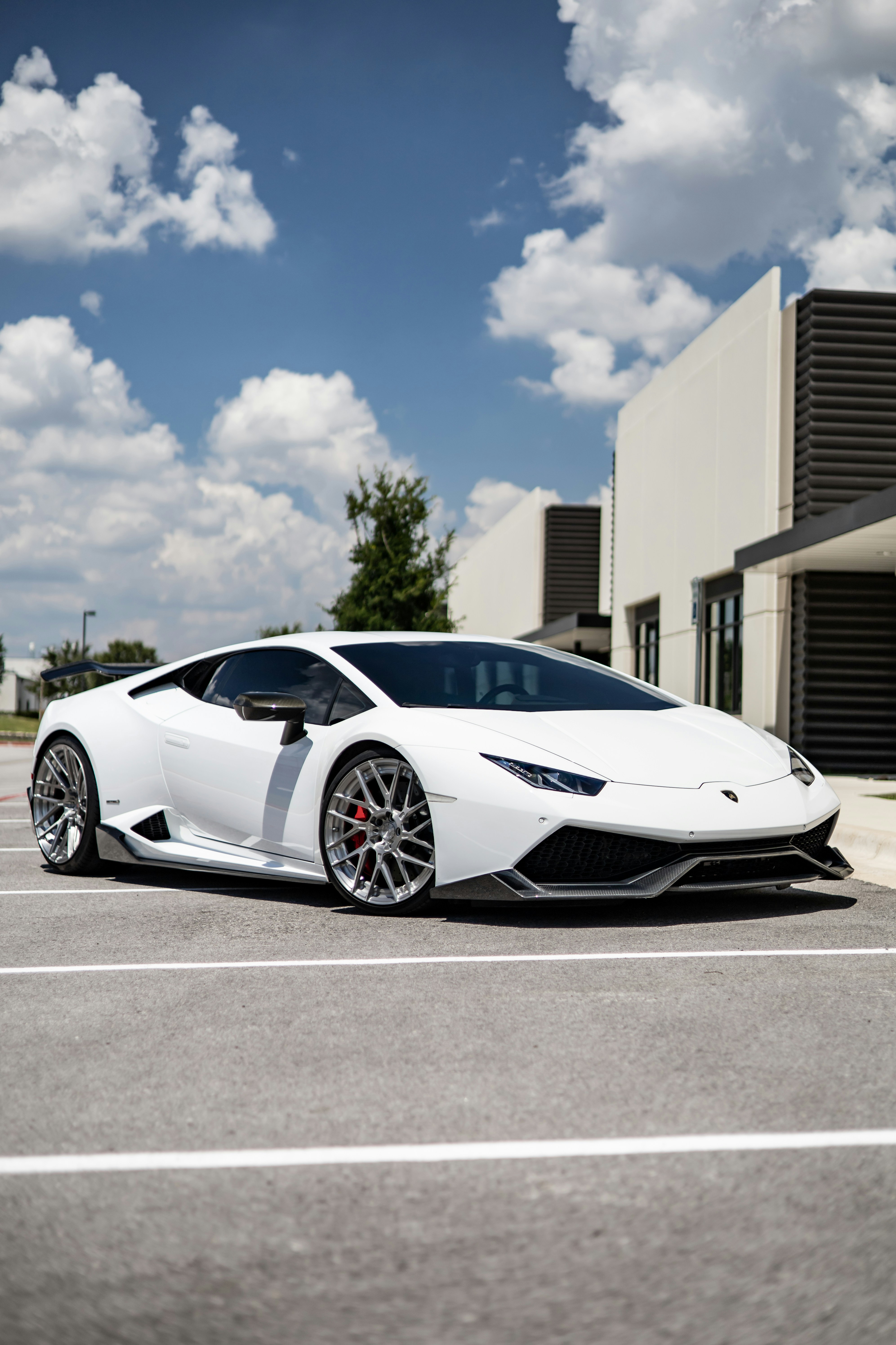 Photo by lonestarexotic