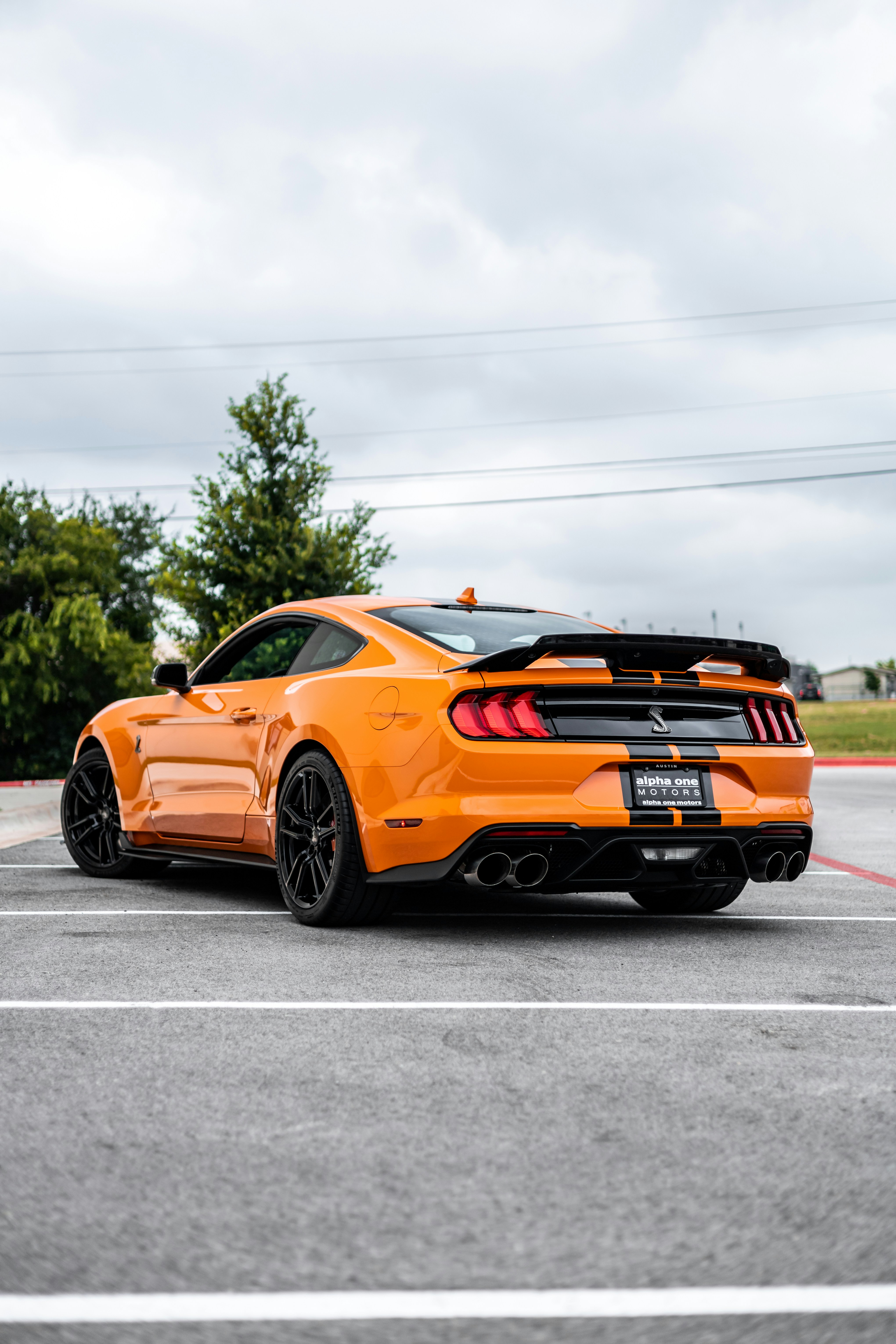 Photo by lonestarexotic