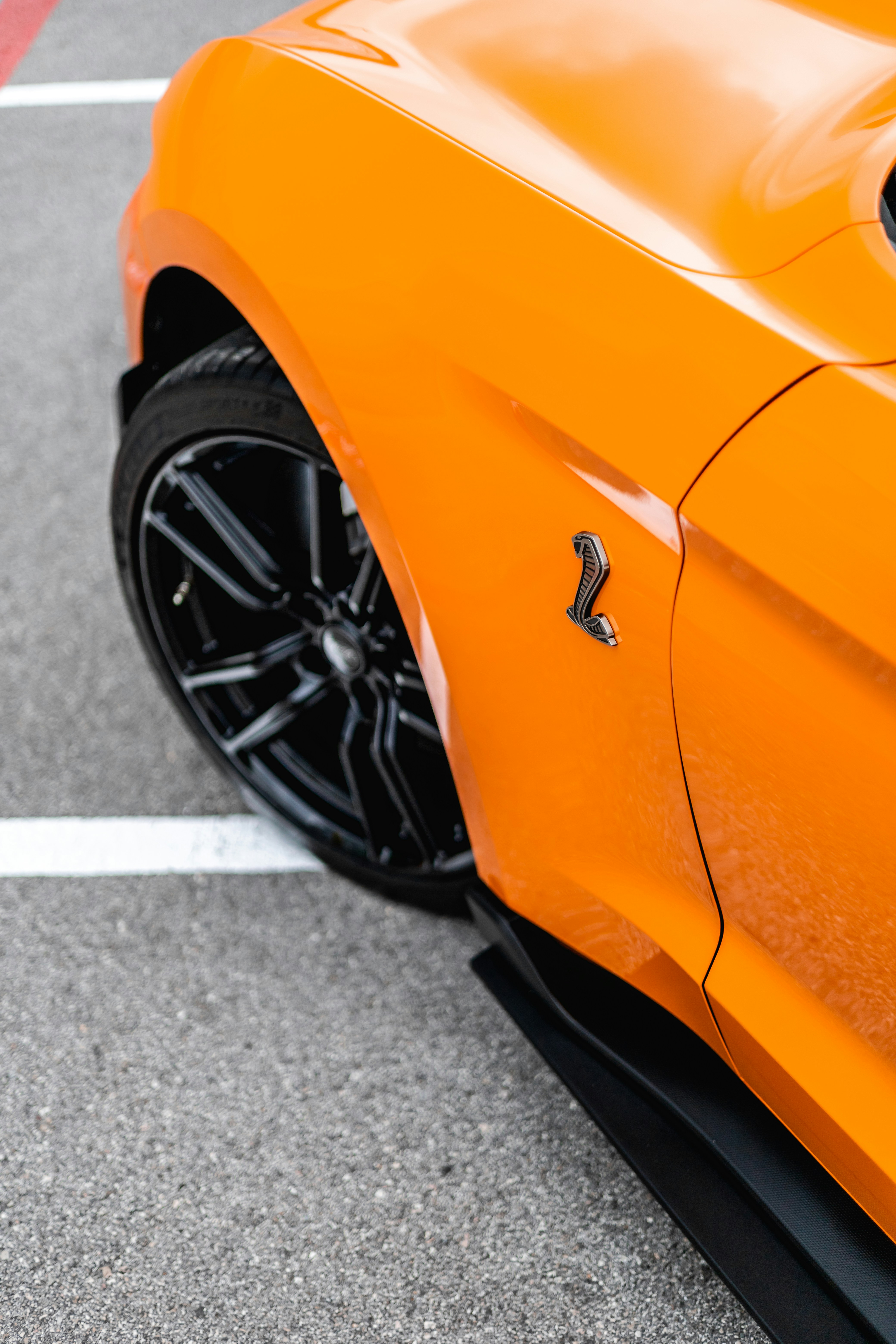 Photo by lonestarexotic