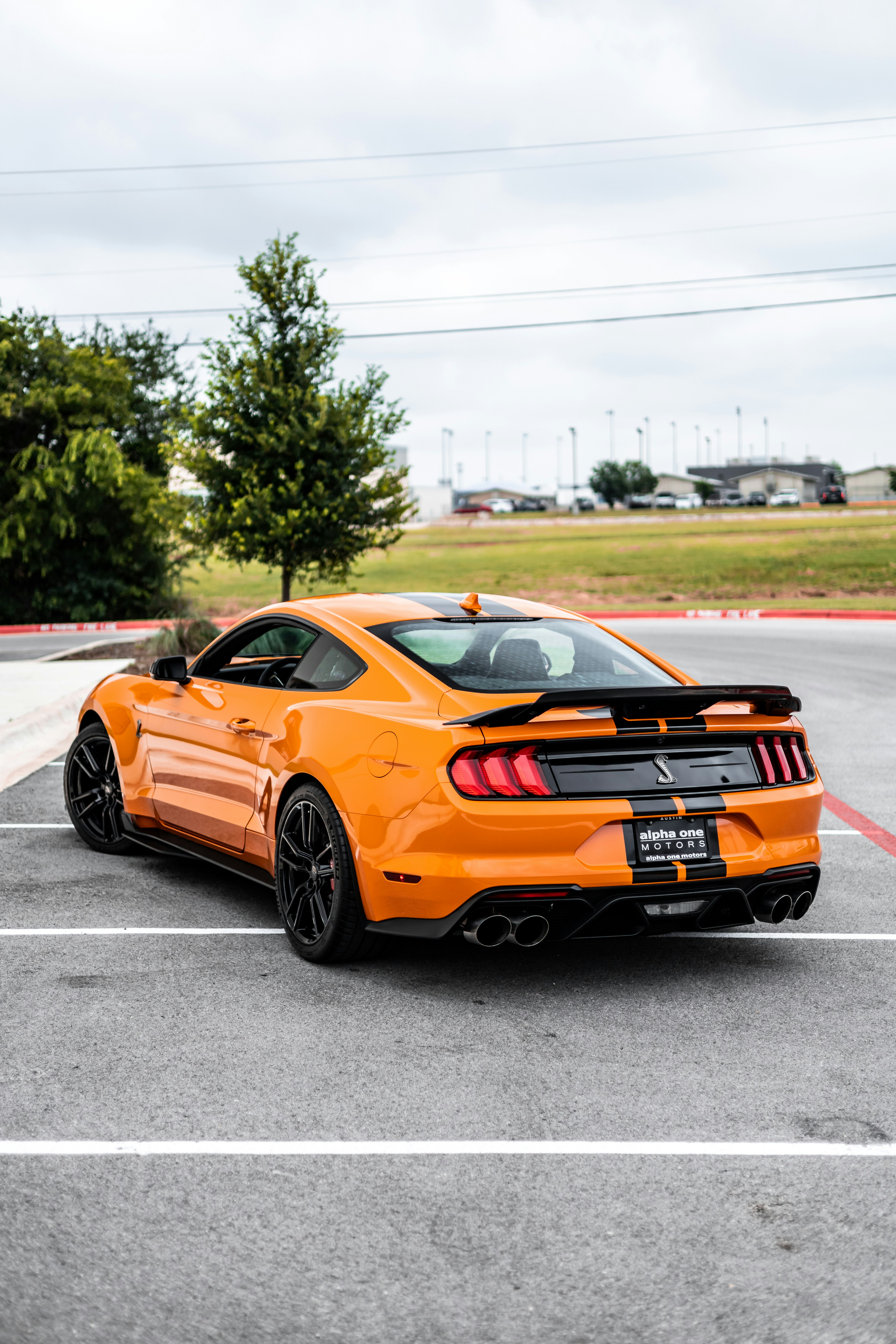 Photo by lonestarexotic