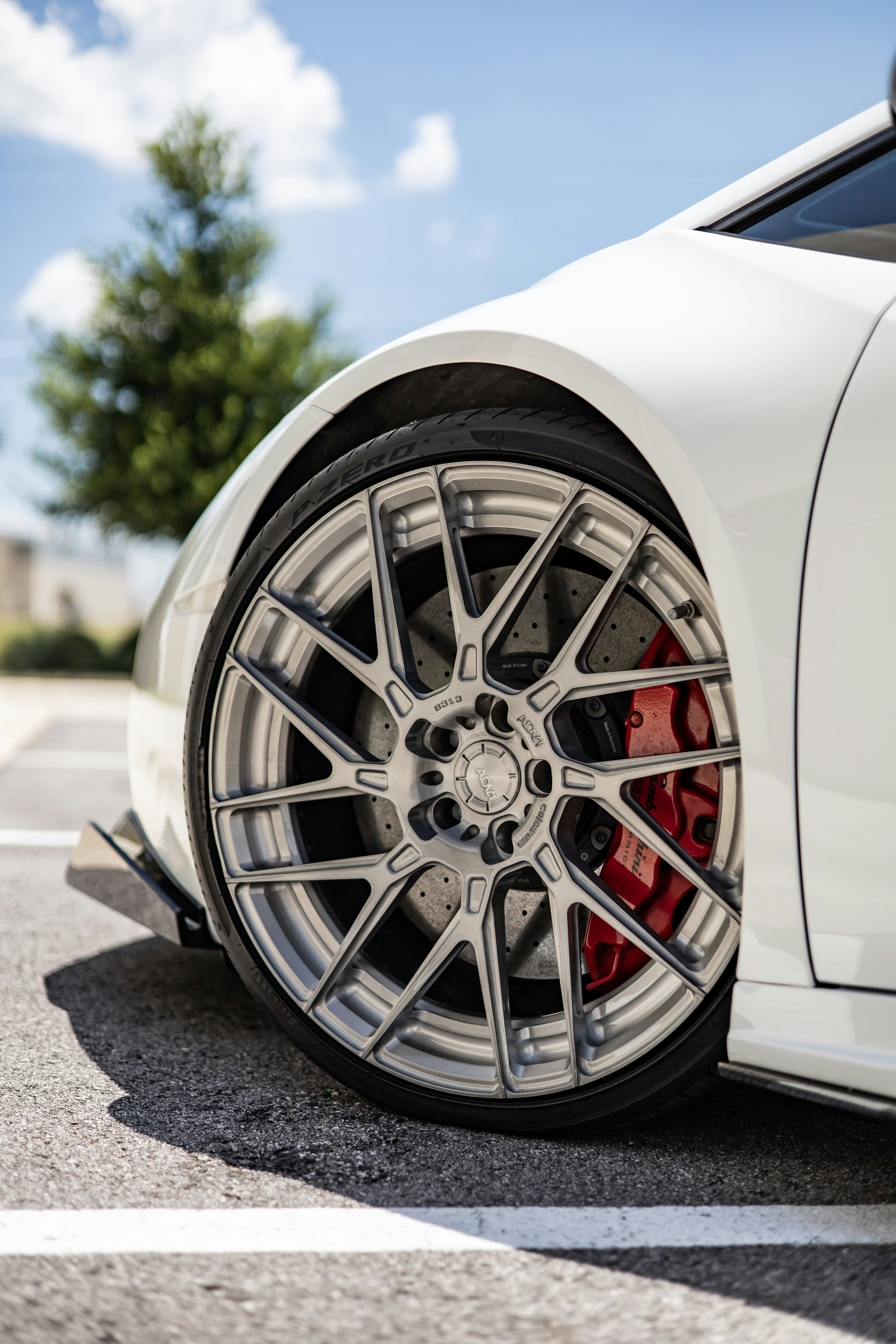 Photo by lonestarexotic