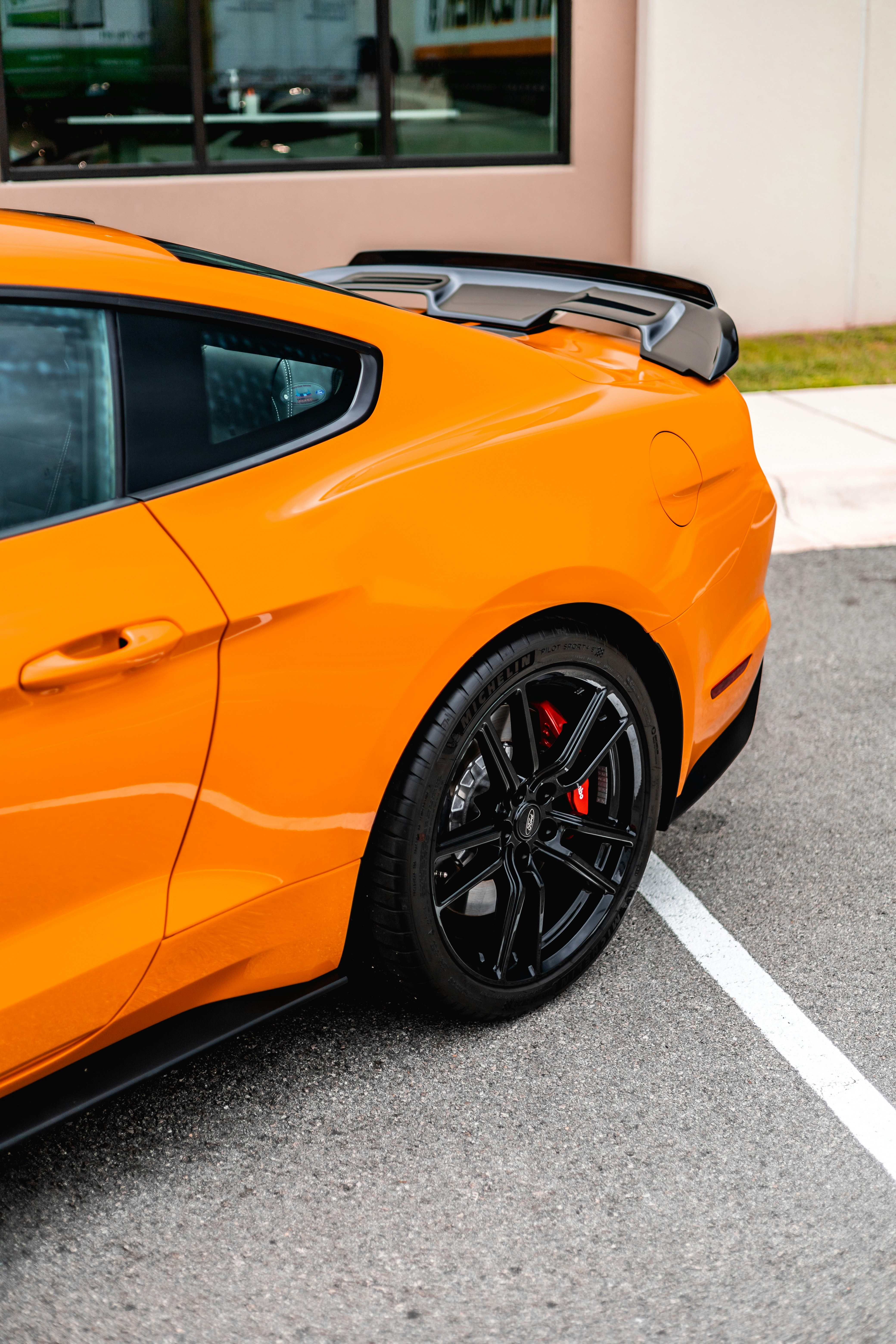 Photo by lonestarexotic