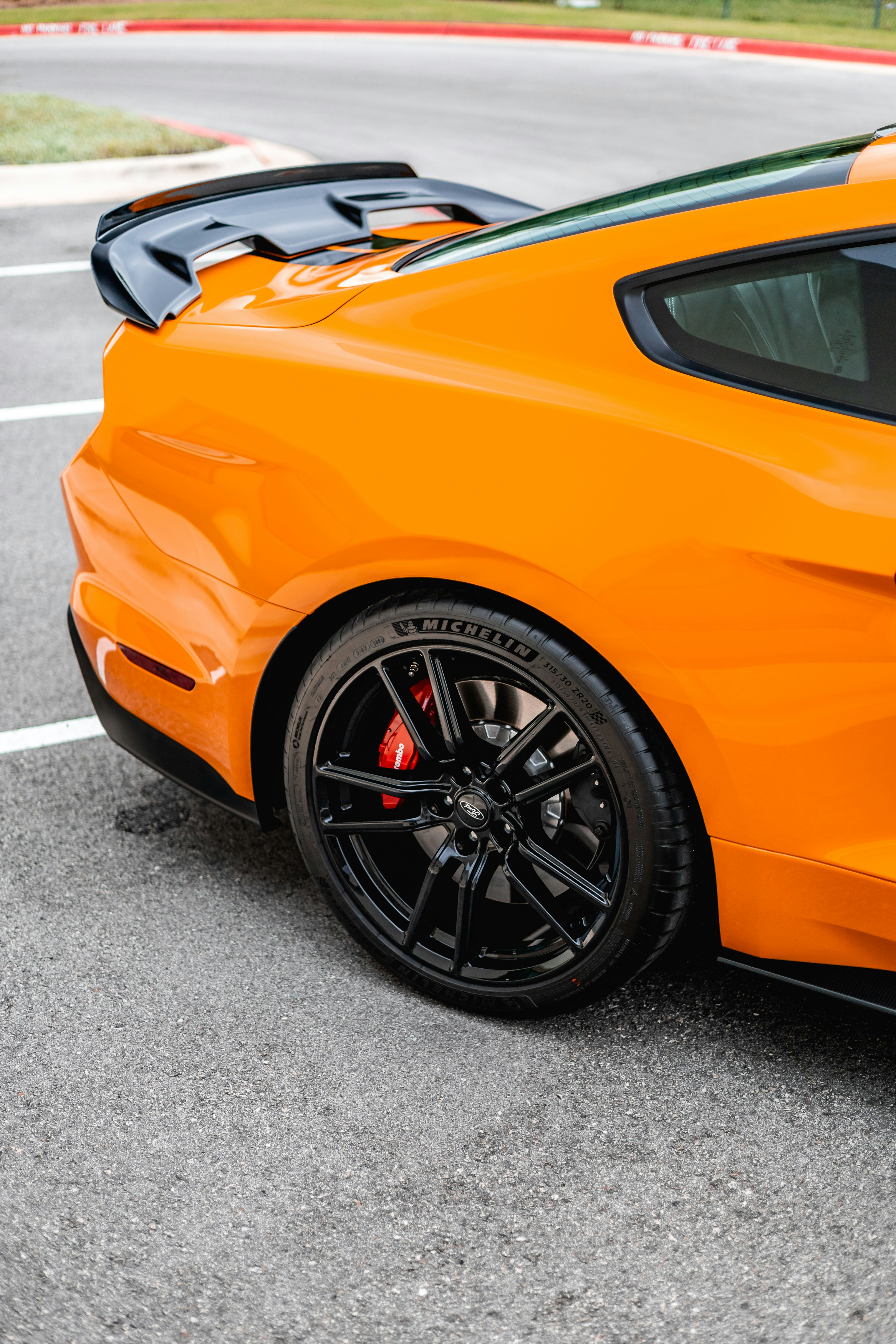 Photo by lonestarexotic