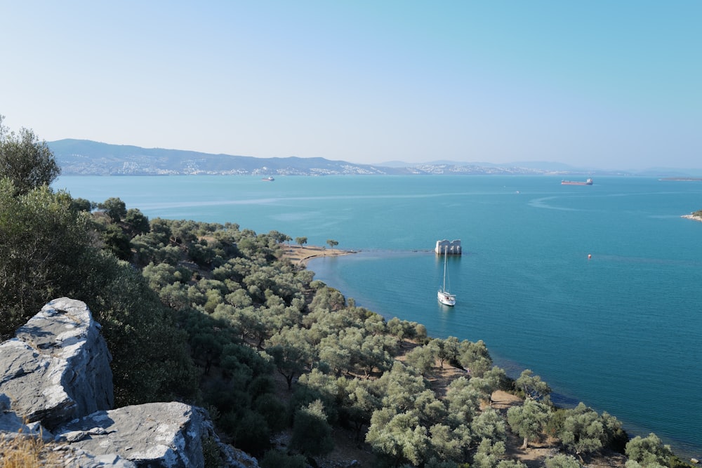 green trees on gray rock formation near body of water during daytime