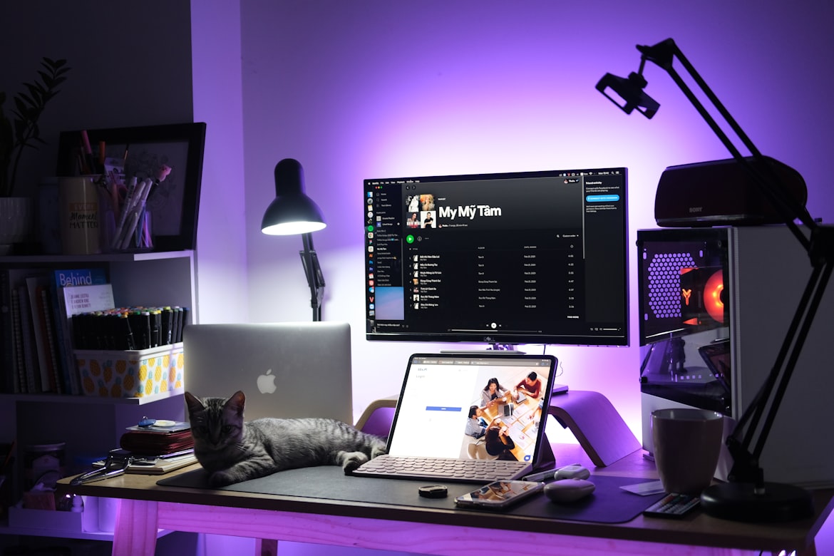 corner of a room with a workstation filled with digital work equipments and a grey cat standing on it, also a bookshelf filled with books and pencils