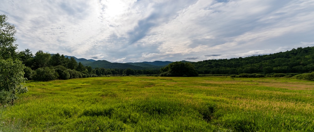 green grass field under cloudy sky during daytime