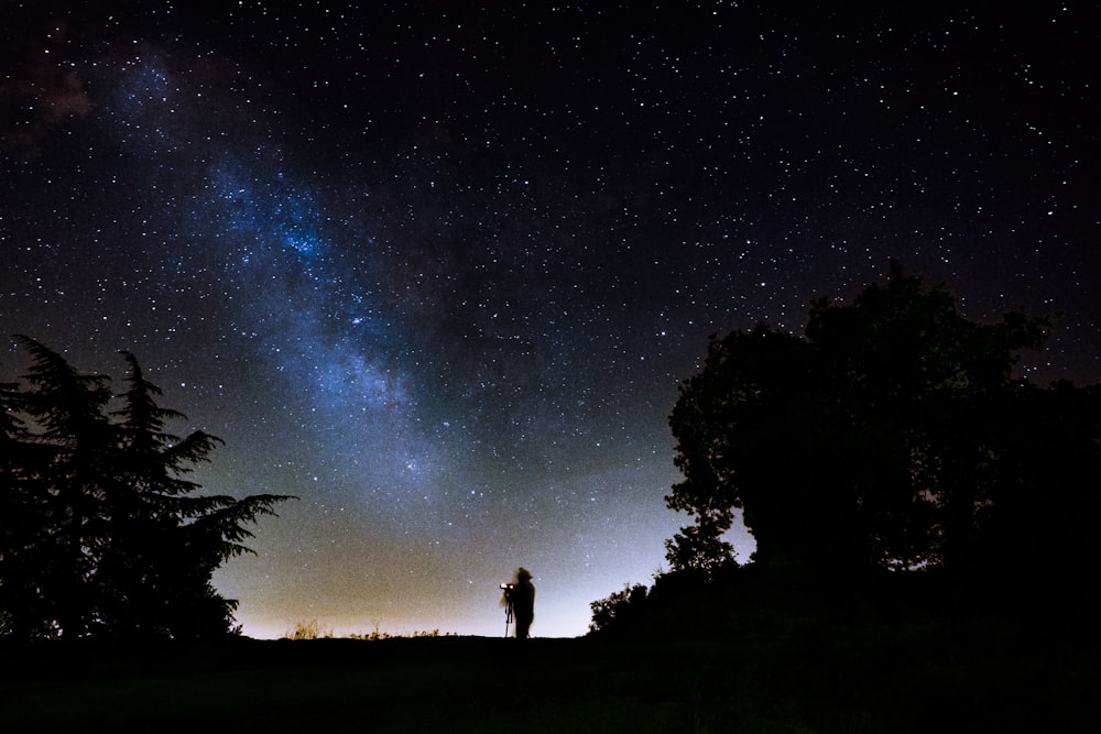 silhouette di persona in piedi sul campo di erba durante la notte
