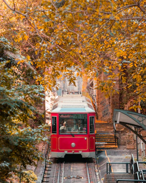 Hong Kong Seasons