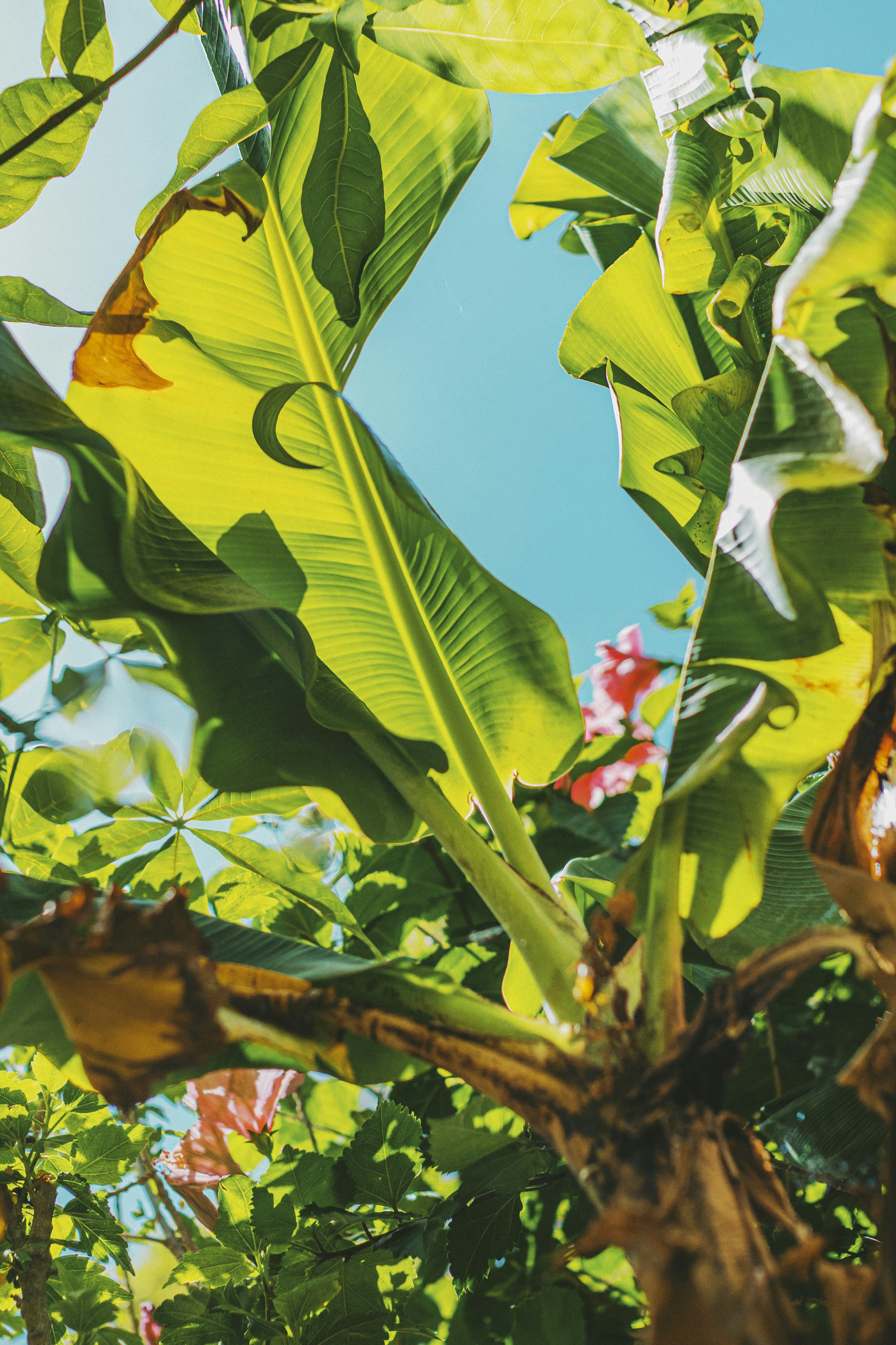 Photo by martindearriba