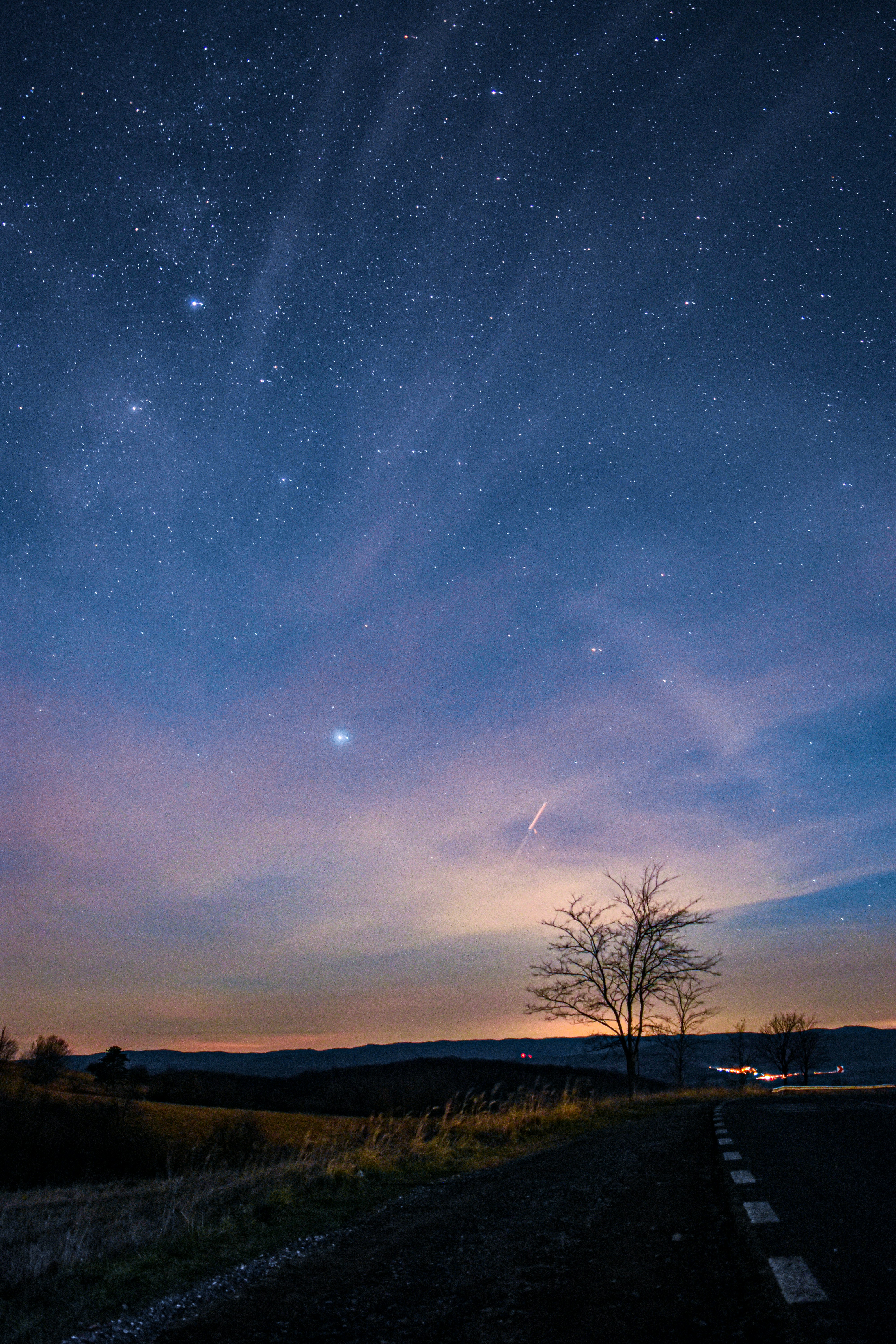 별이 빛나는 밤 아래 나무의 실루엣 사진 – Unsplash의 무료 밤하늘 이미지, image size:3000x4500