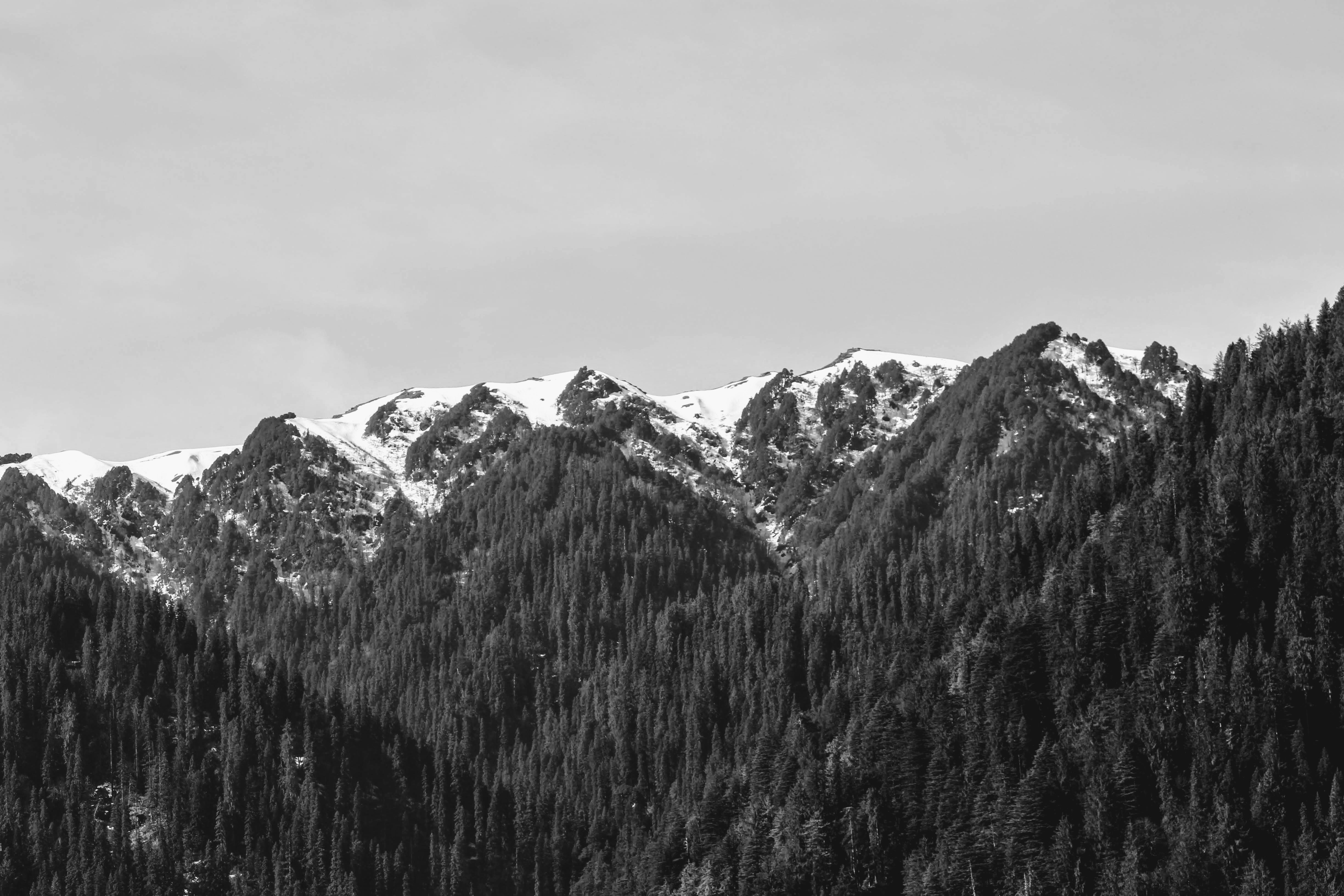 Photo by yrduser2041