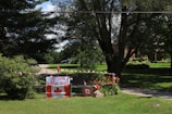 A rural setting features a driveway lined with Canadian flags and a sign that says 'An Olympian grew up here!' adorned with a large Canadian flag and decorative elements. Trees and a grassy lawn surround the area, and there is a brick house partially visible in the background.