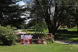 A rural setting features a driveway lined with Canadian flags and a sign that says 'An Olympian grew up here!' adorned with a large Canadian flag and decorative elements. Trees and a grassy lawn surround the area, and there is a brick house partially visible in the background.